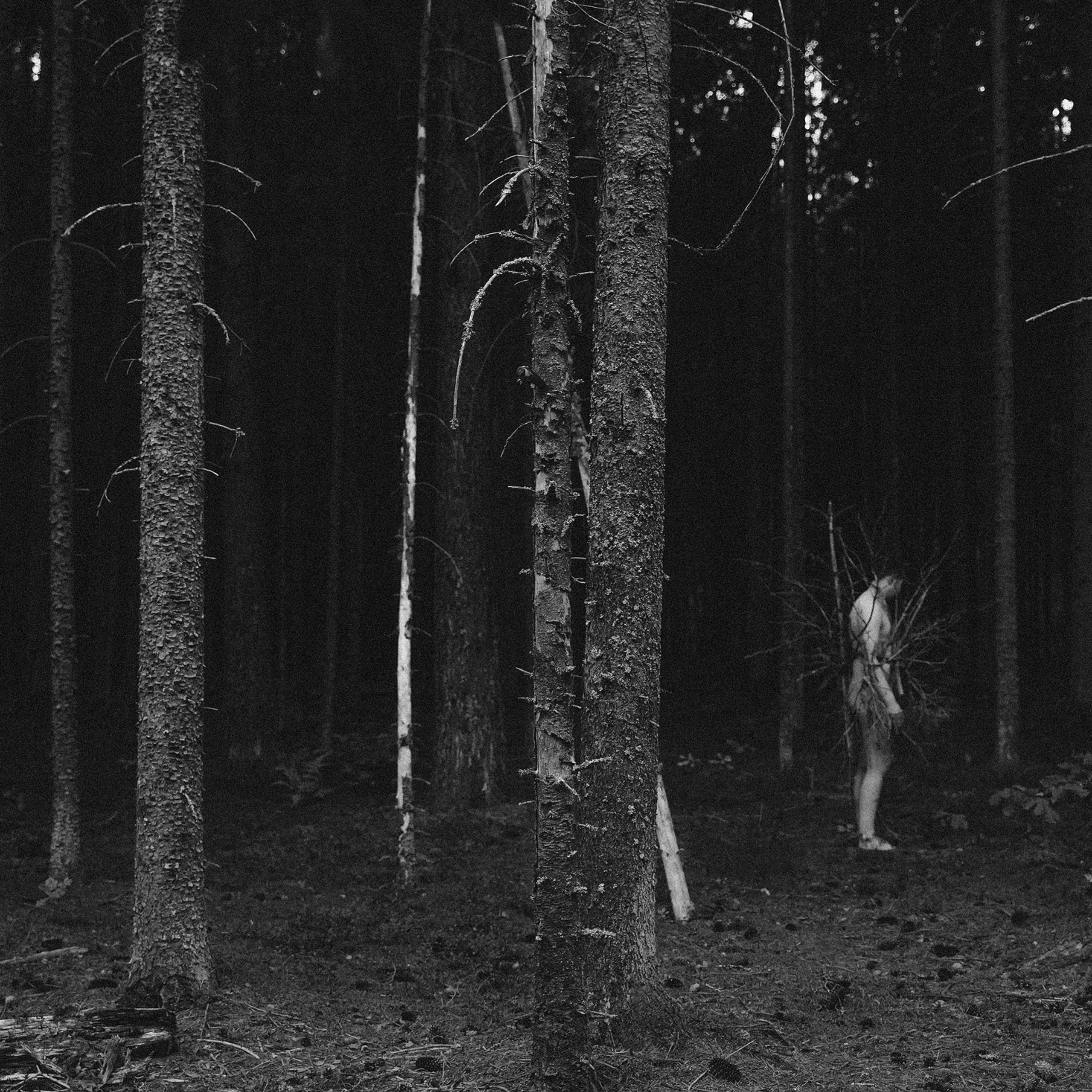 Алиса Аницкая. Фотограф Смоленск, МСК, СПБ. Отзывы. Алиса Аницкая