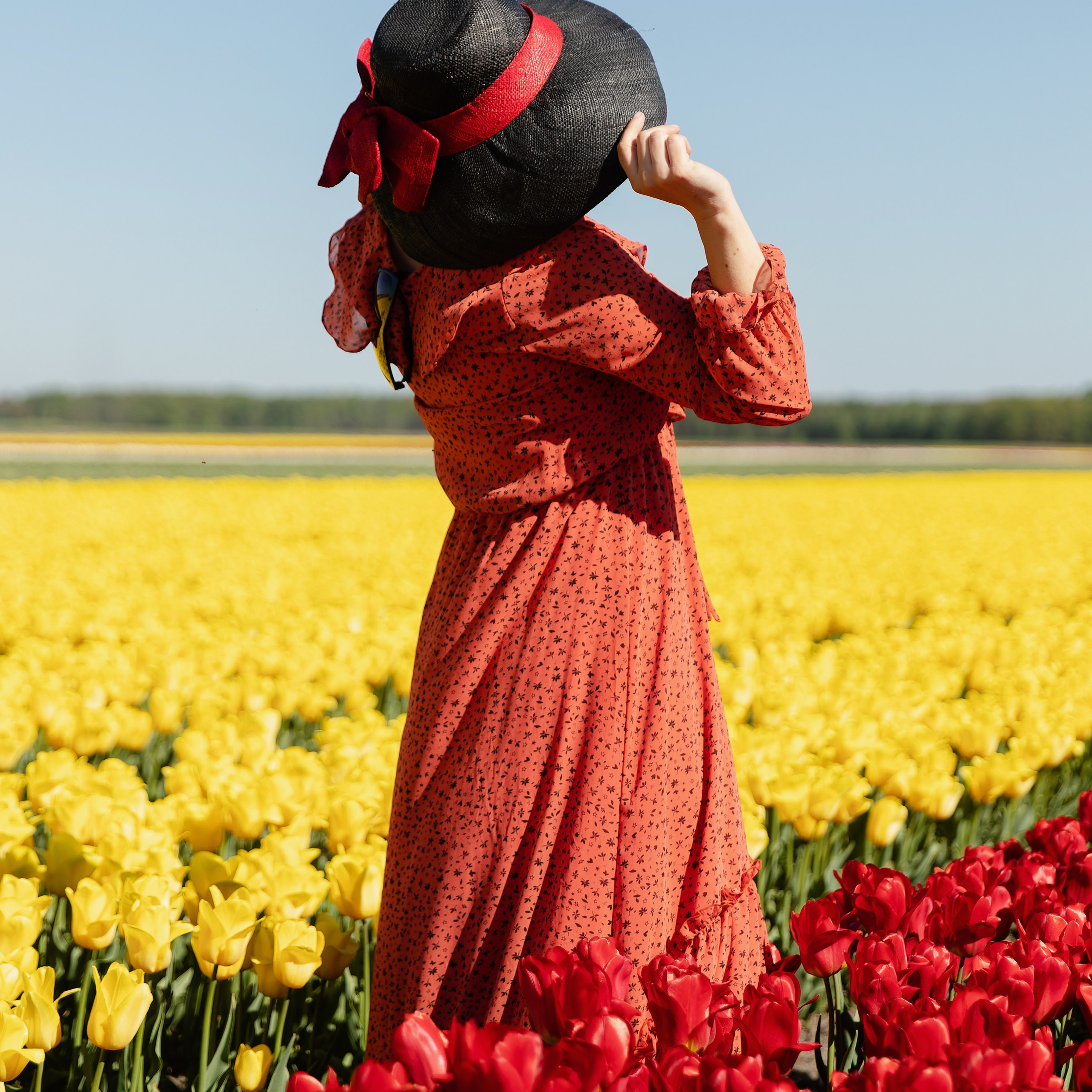 TRAVELLAB — TULIPS