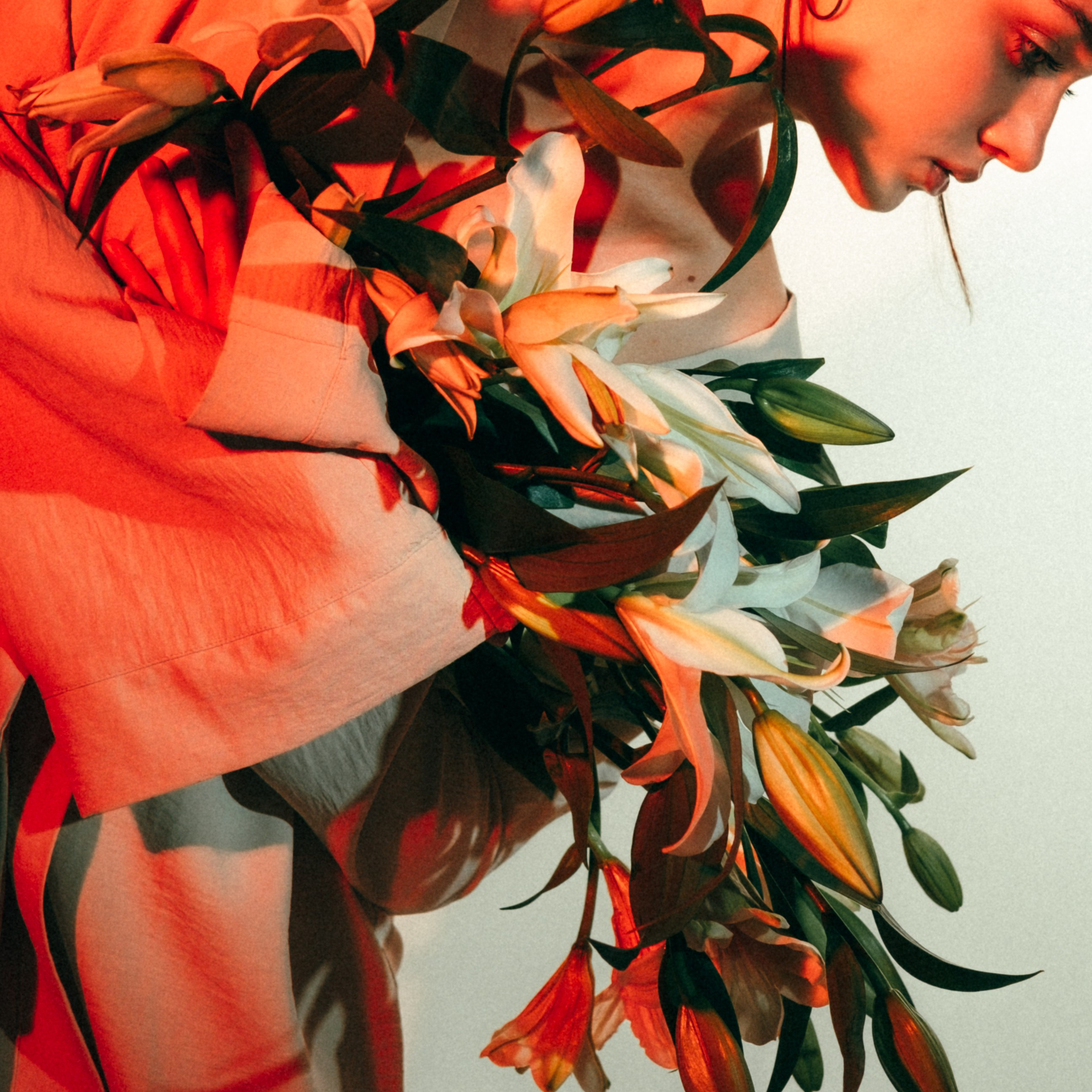 Альбина | свет и цветы