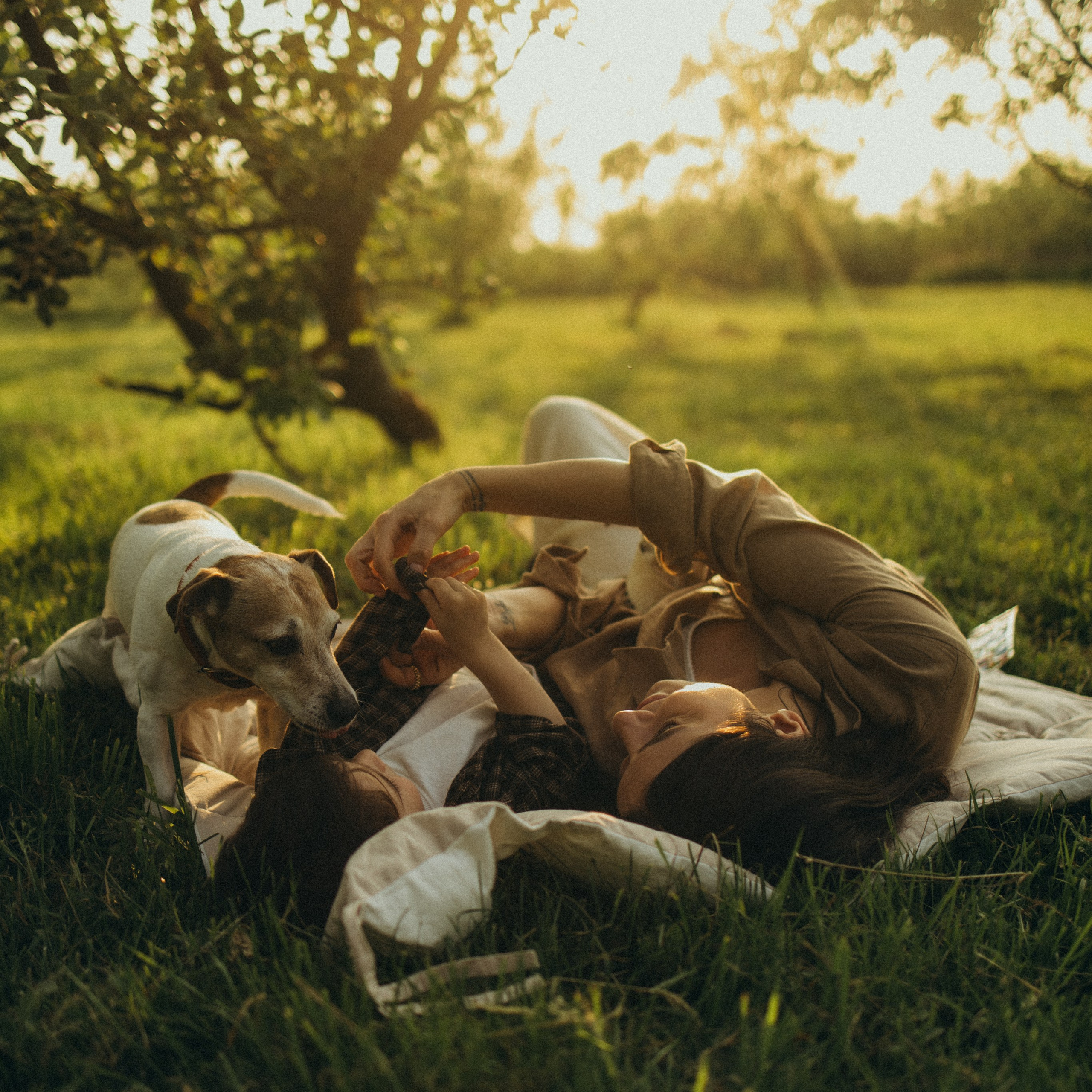 теплым летним днем