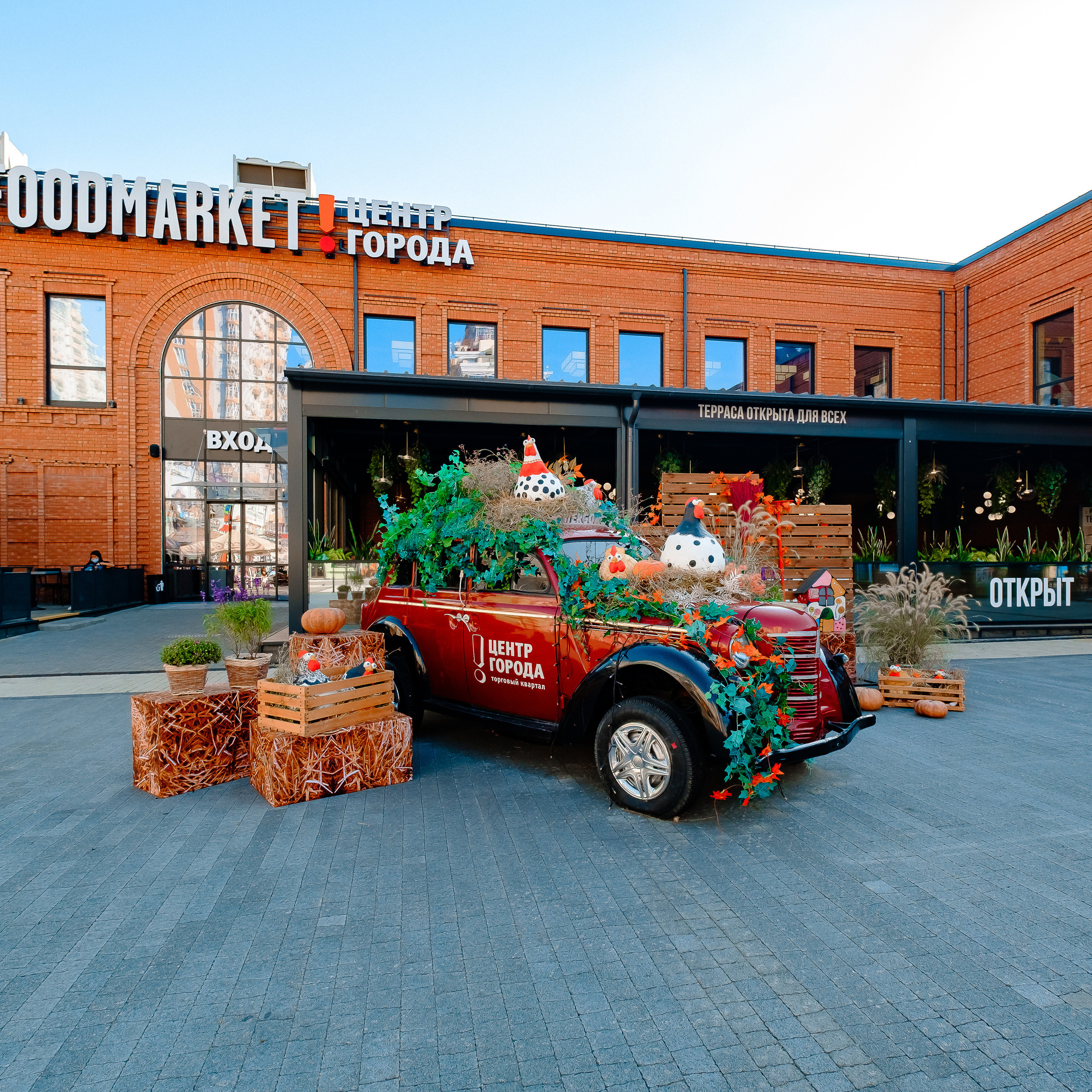 Отзывы о работе и съемкам - Студия "Медведь". Создание сайтов, SMM, производство контента | Студия «Медведь» | Услуги для бизнеса