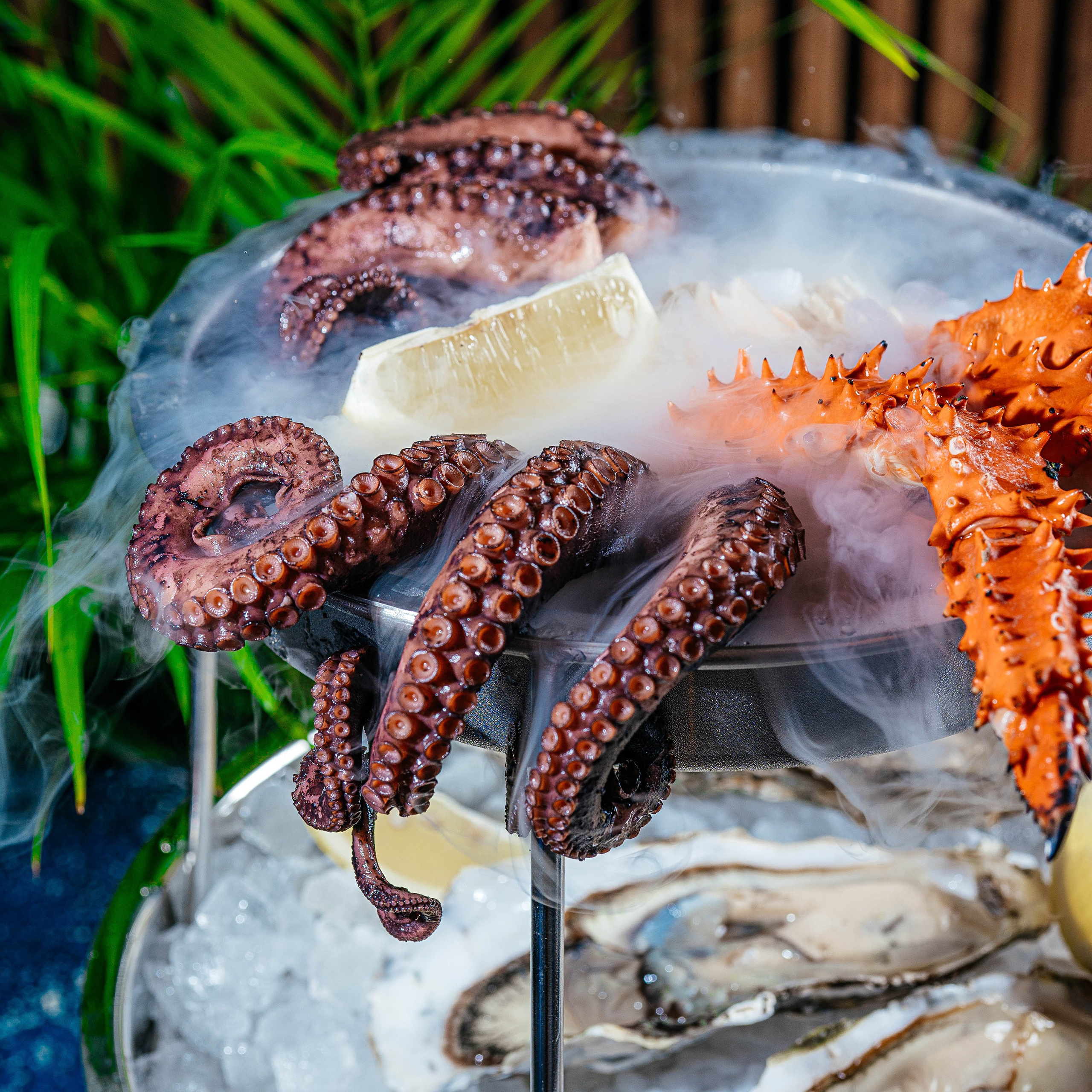 Food фотография. Бизнес фотограф: бизнес портреты и промышленная съемка в Москве