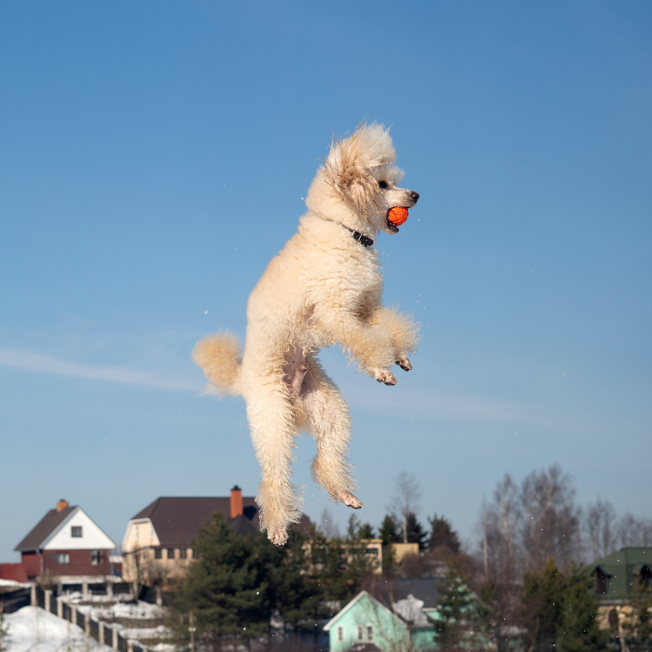 Миша Лева и&nbsp;Кристина