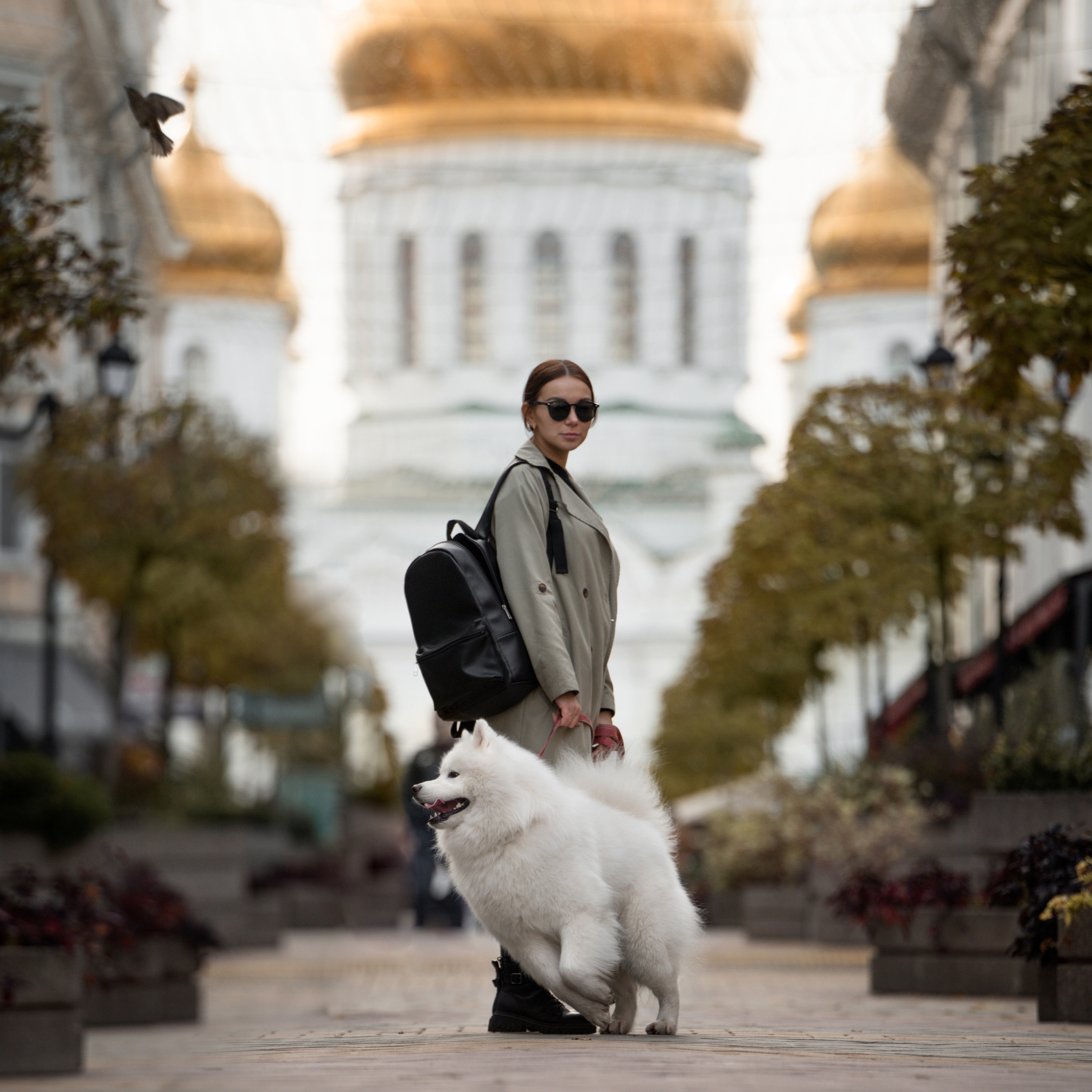 Белый и&nbsp;пушистый