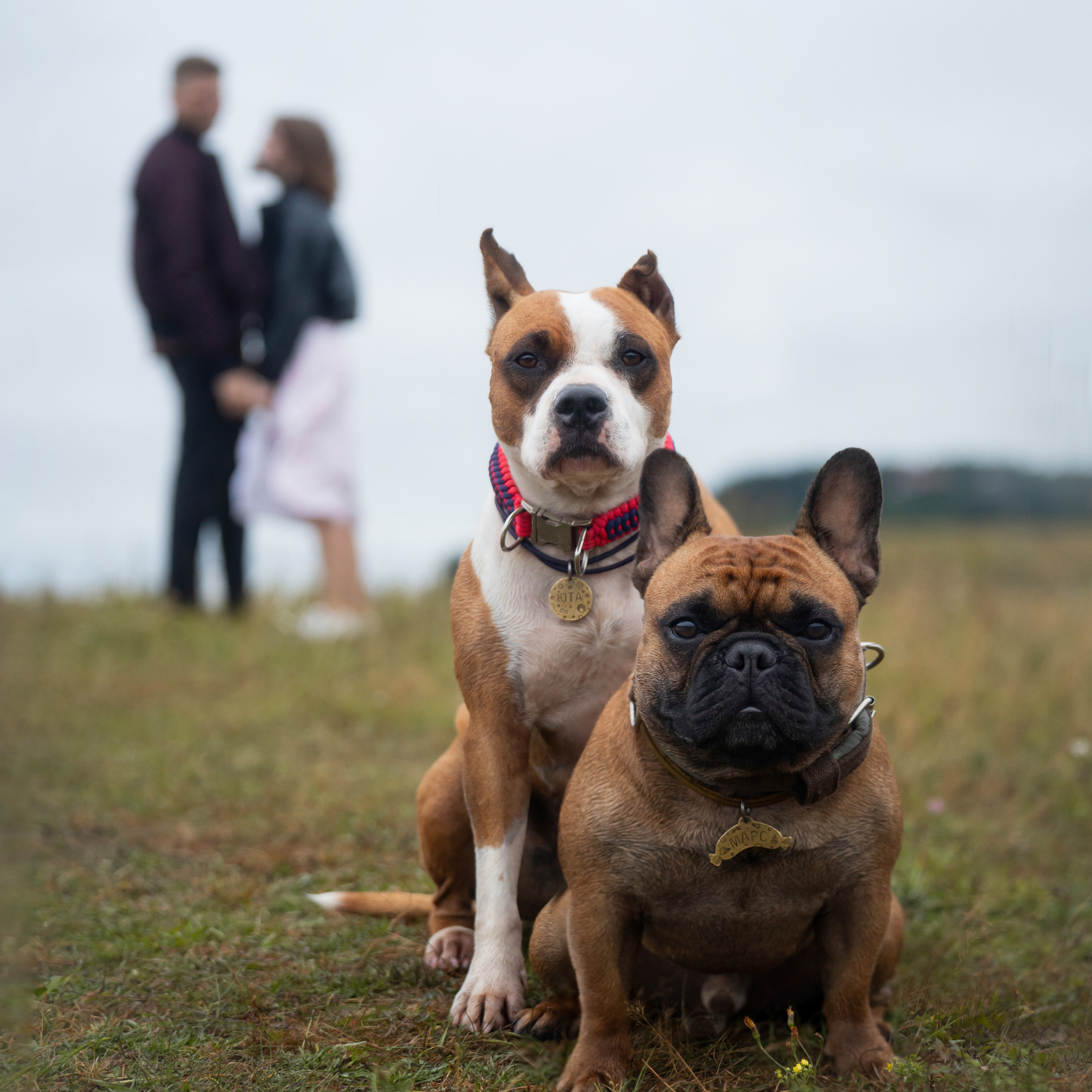 Катя, Антон, Марс и&nbsp;Юта