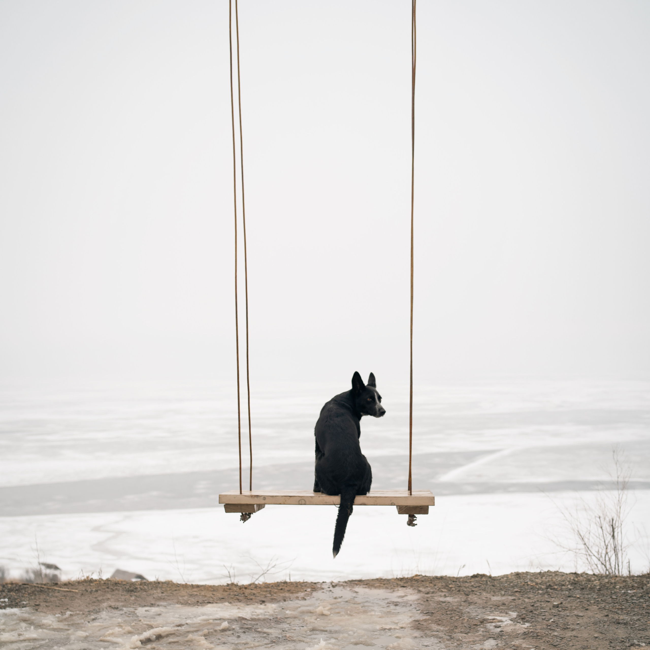 Снежная Йота