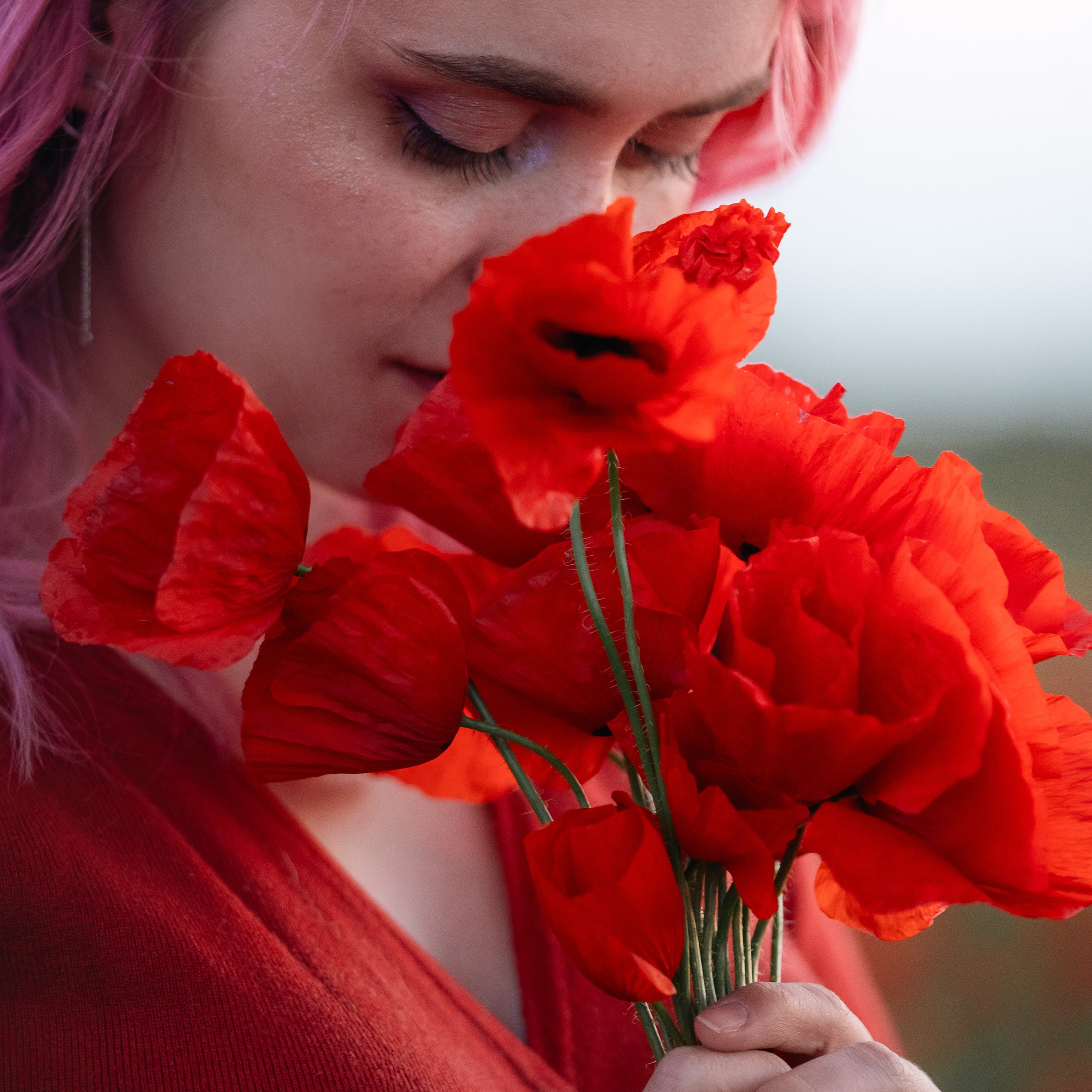 Маковое поле