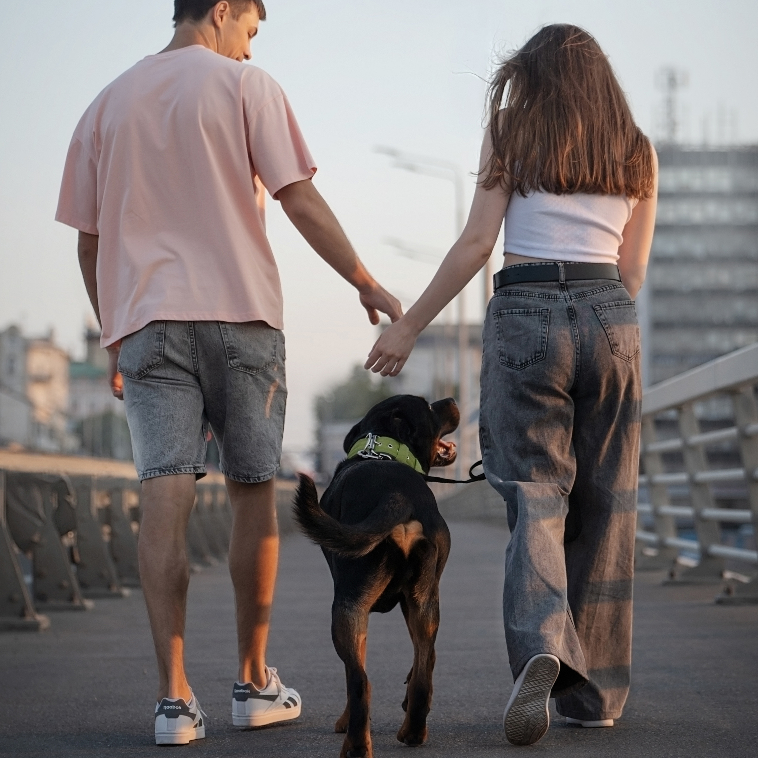 Амадик на&nbsp;рассвете