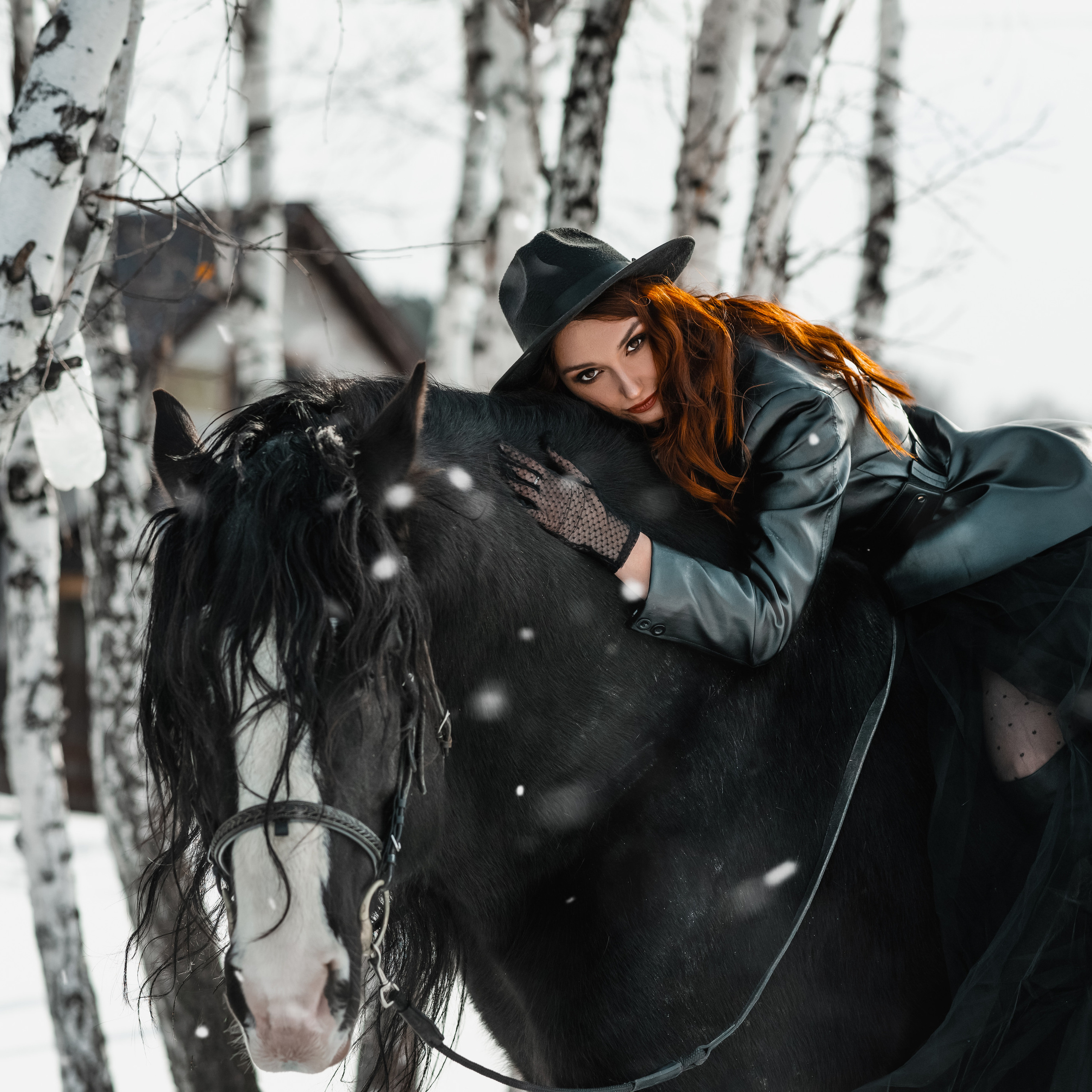 Ранчо, февраль 2023