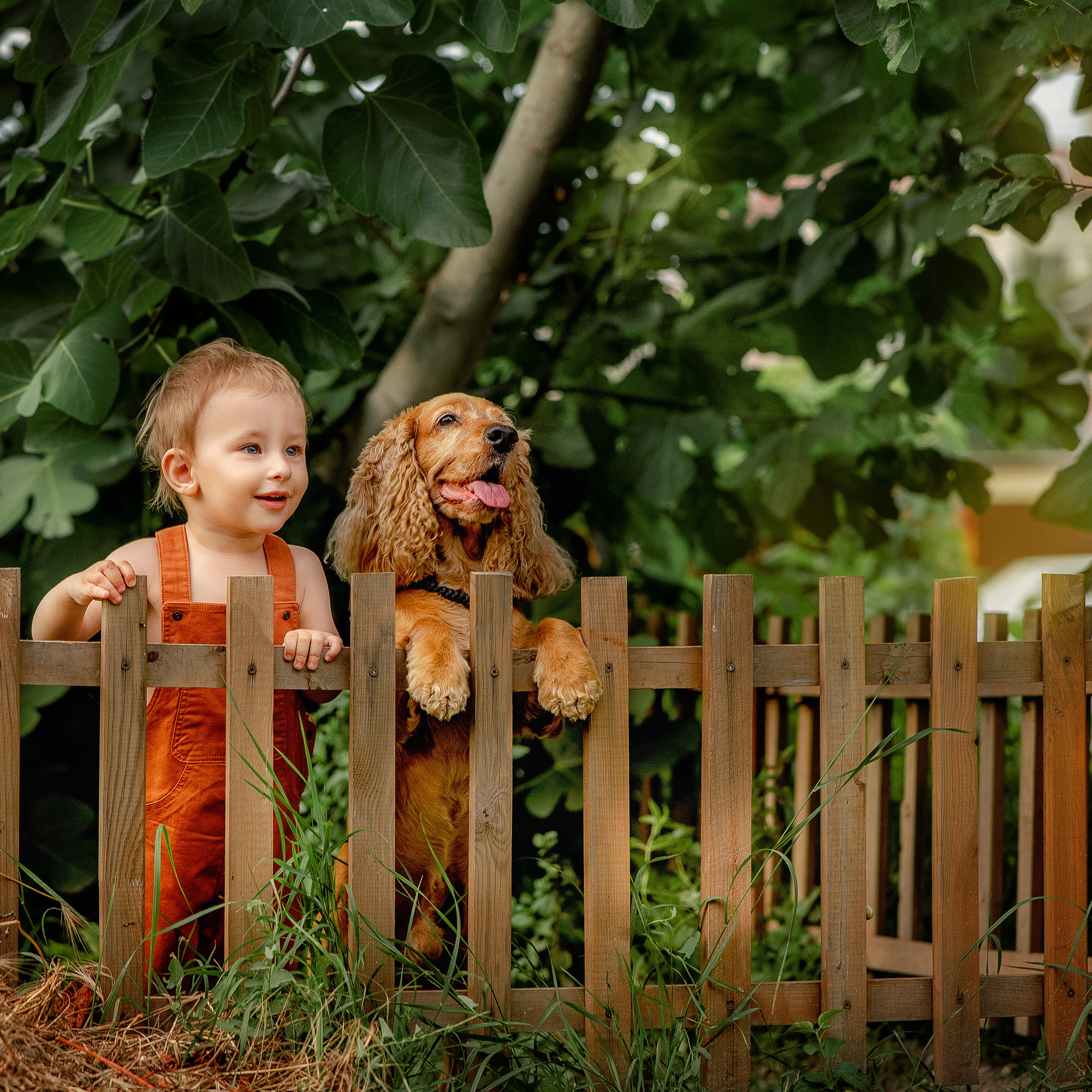 Отзывы. Фотограф в Египте, Хургаде, Луксоре, Сафаге. Фотограф по всему миру