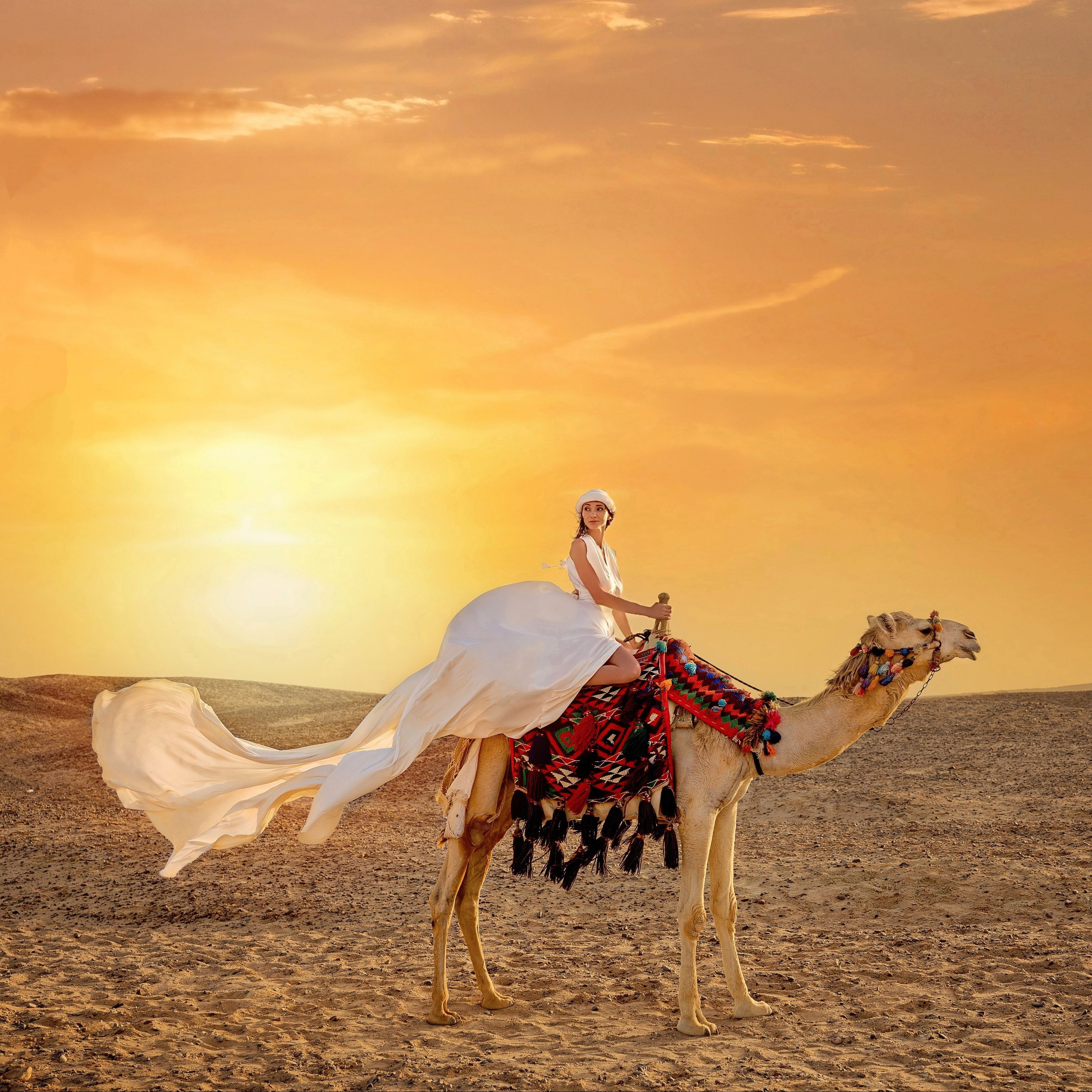 Отзывы. Фотограф в Египте, Хургаде, Луксоре, Сафаге. Фотограф по всему миру