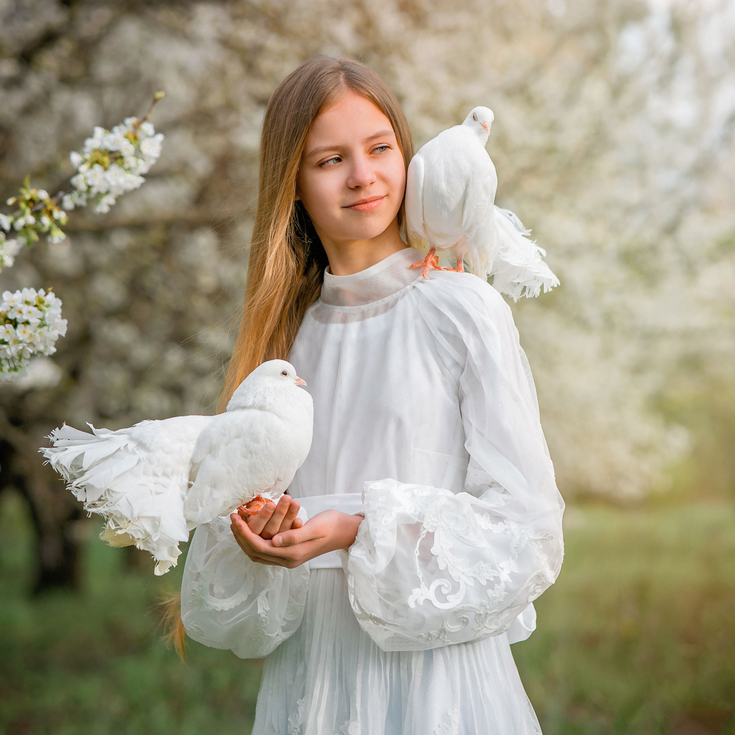 Отзывы. Фотограф в Египте, Хургаде, Луксоре, Сафаге. Фотограф по всему миру