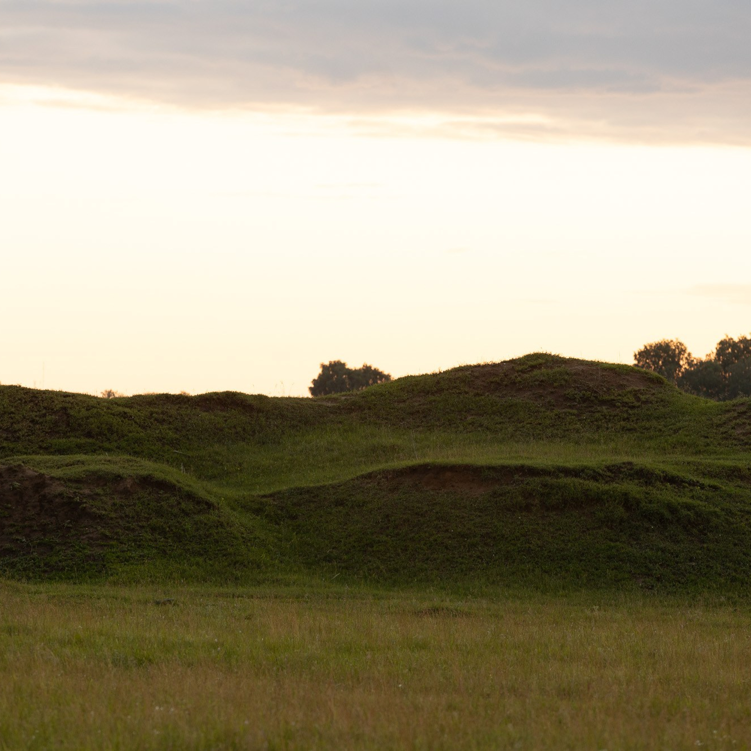 Алексей и Светлана
