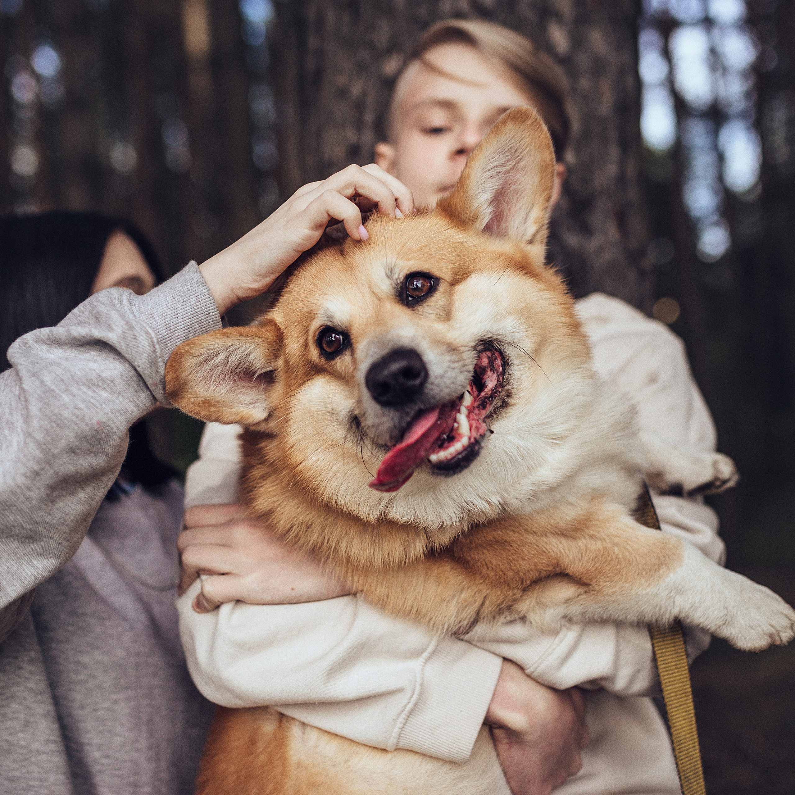 Первый летний день