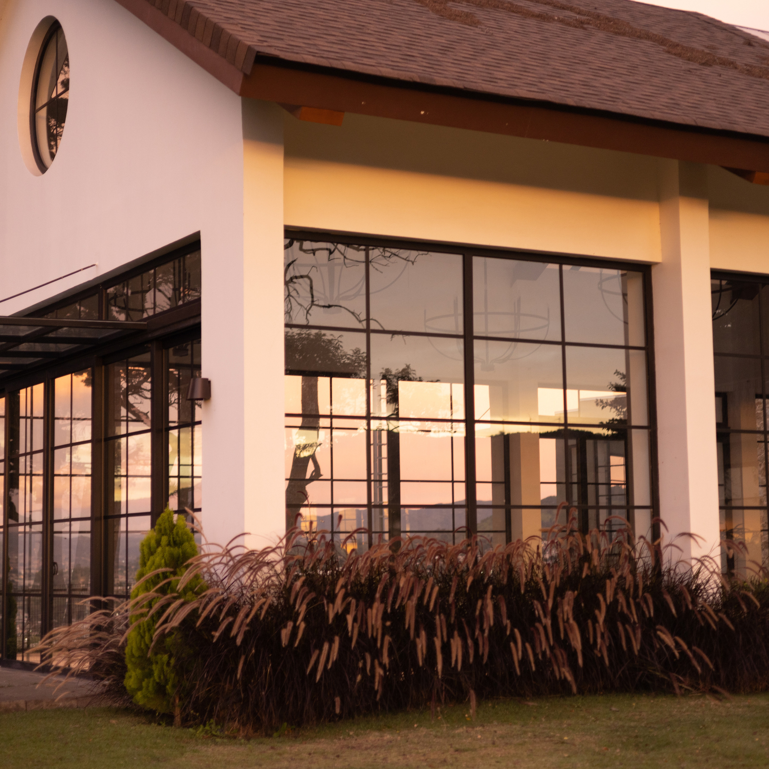 Testimonials. Family, portrait, content photo in Costa Rica Evgeniya Besprozvannykh