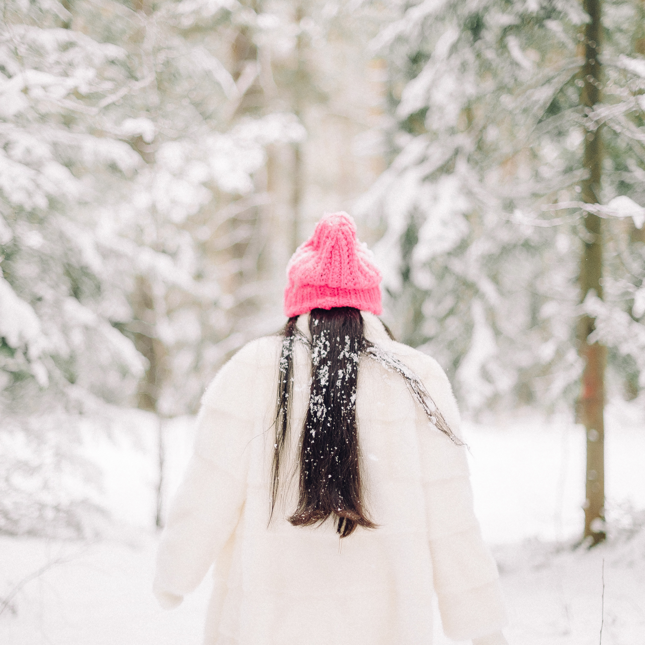 Зимняя лесная сказка.