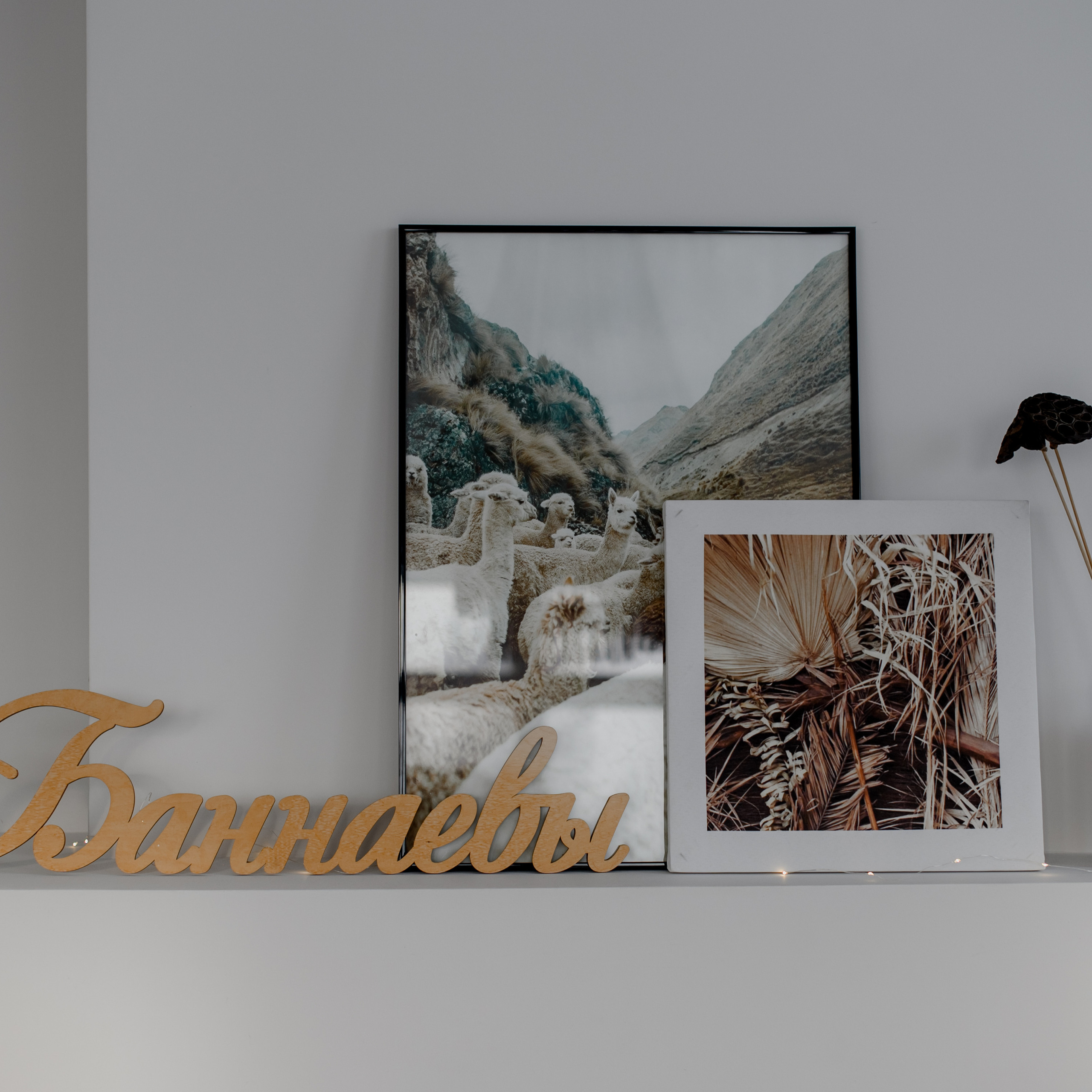 Отзывы. Семейный фотограф в Красноярске Ольга Бородина