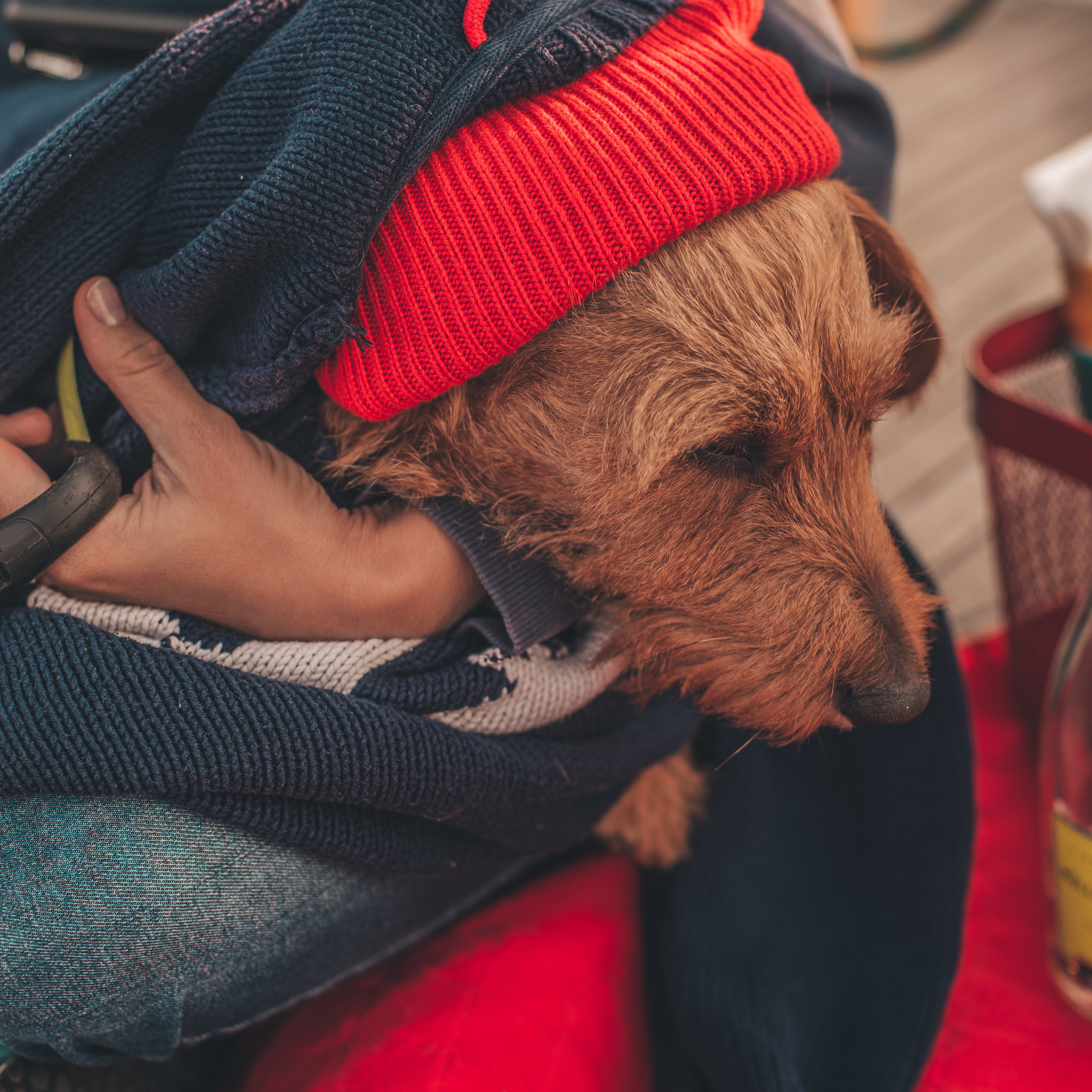 Экспертный лайфстайл. Фотограф в Санкт-Петербурге Марина Парникова