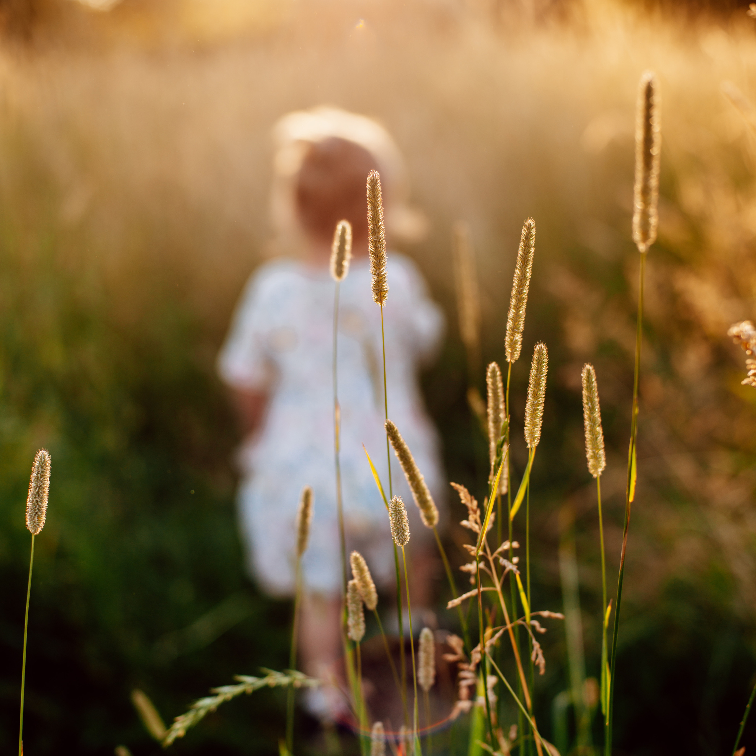 Пленэр. Фотограф в Санкт-Петербурге Марина Парникова