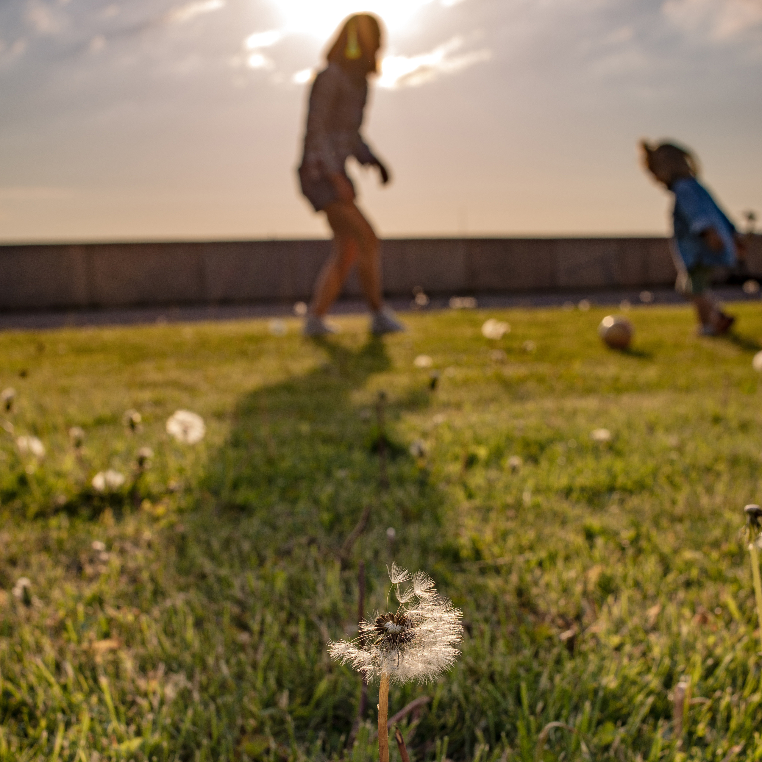 Солнечные игры. Фотограф в Санкт-Петербурге Марина Парникова