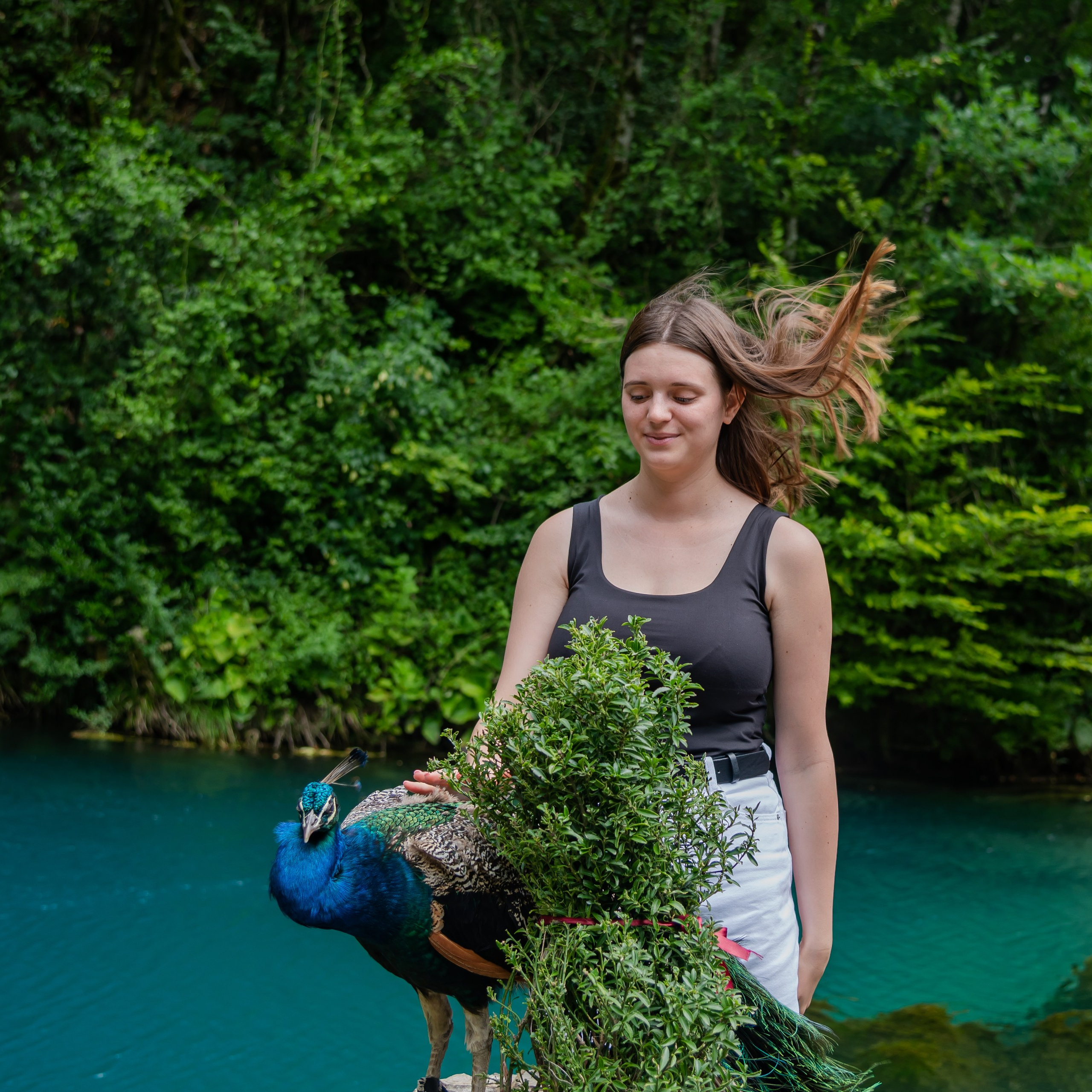 Тур в Абхазию