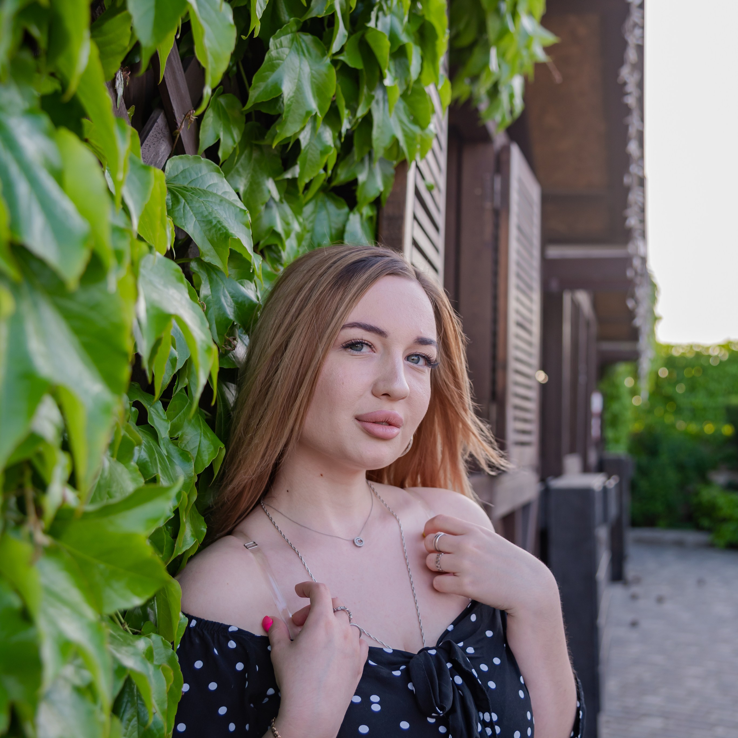 Вечер в Губернии