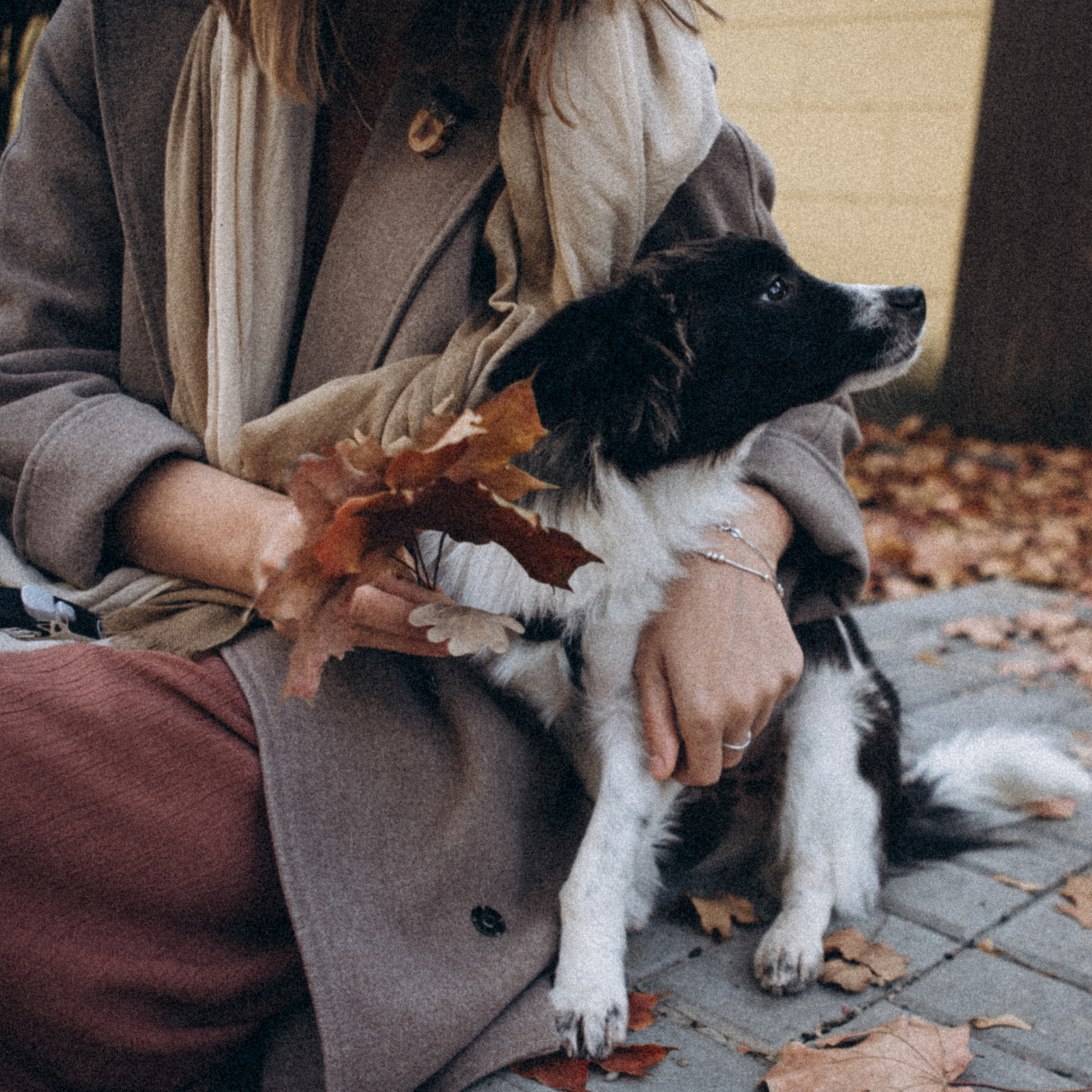 Гулять с собакой