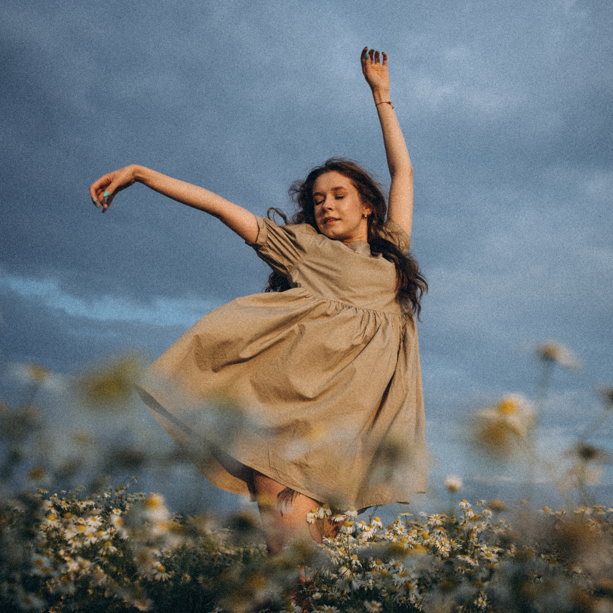 В ромашковом поле