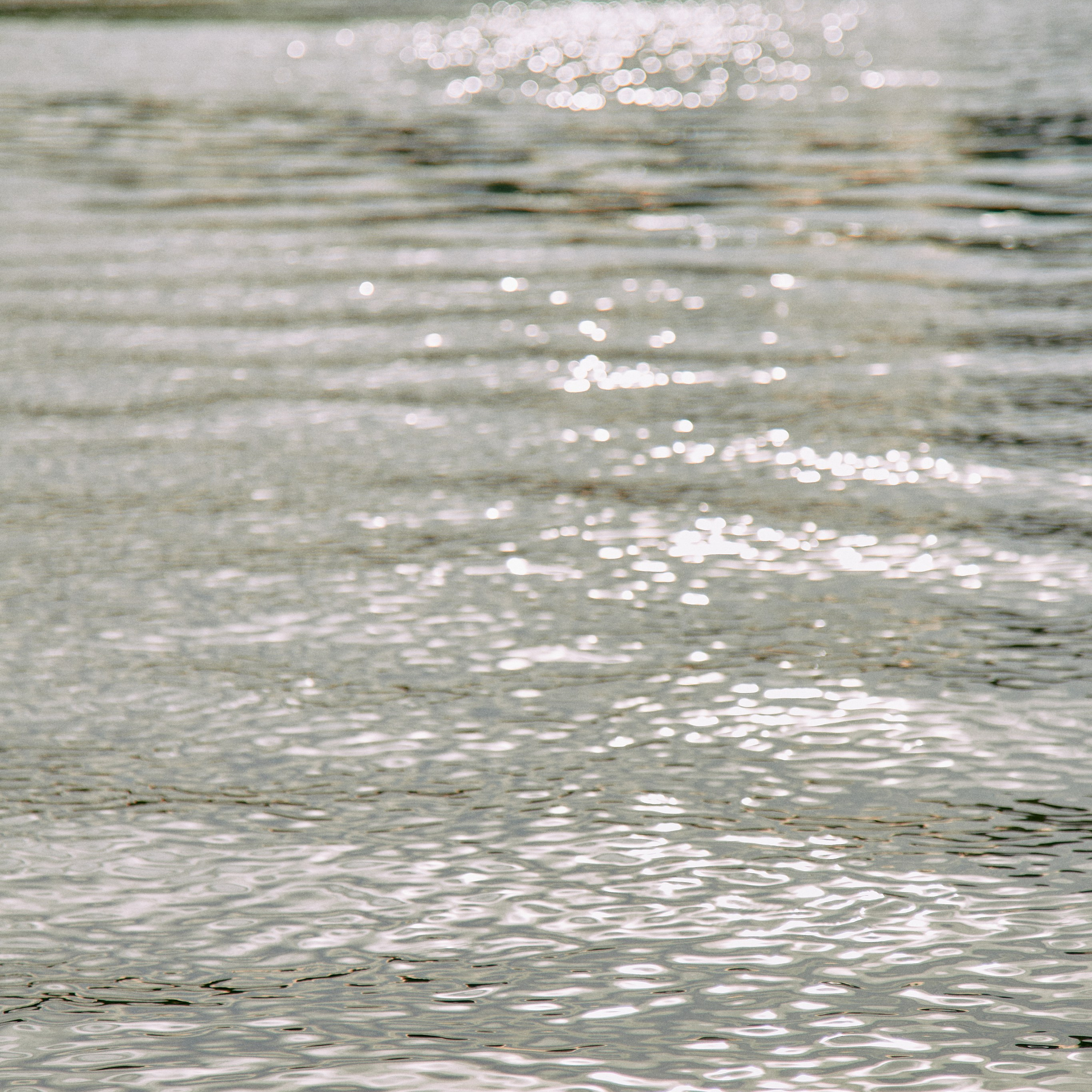 Dasha. Фотограф в Волгограде и Москве Алина Галушкина