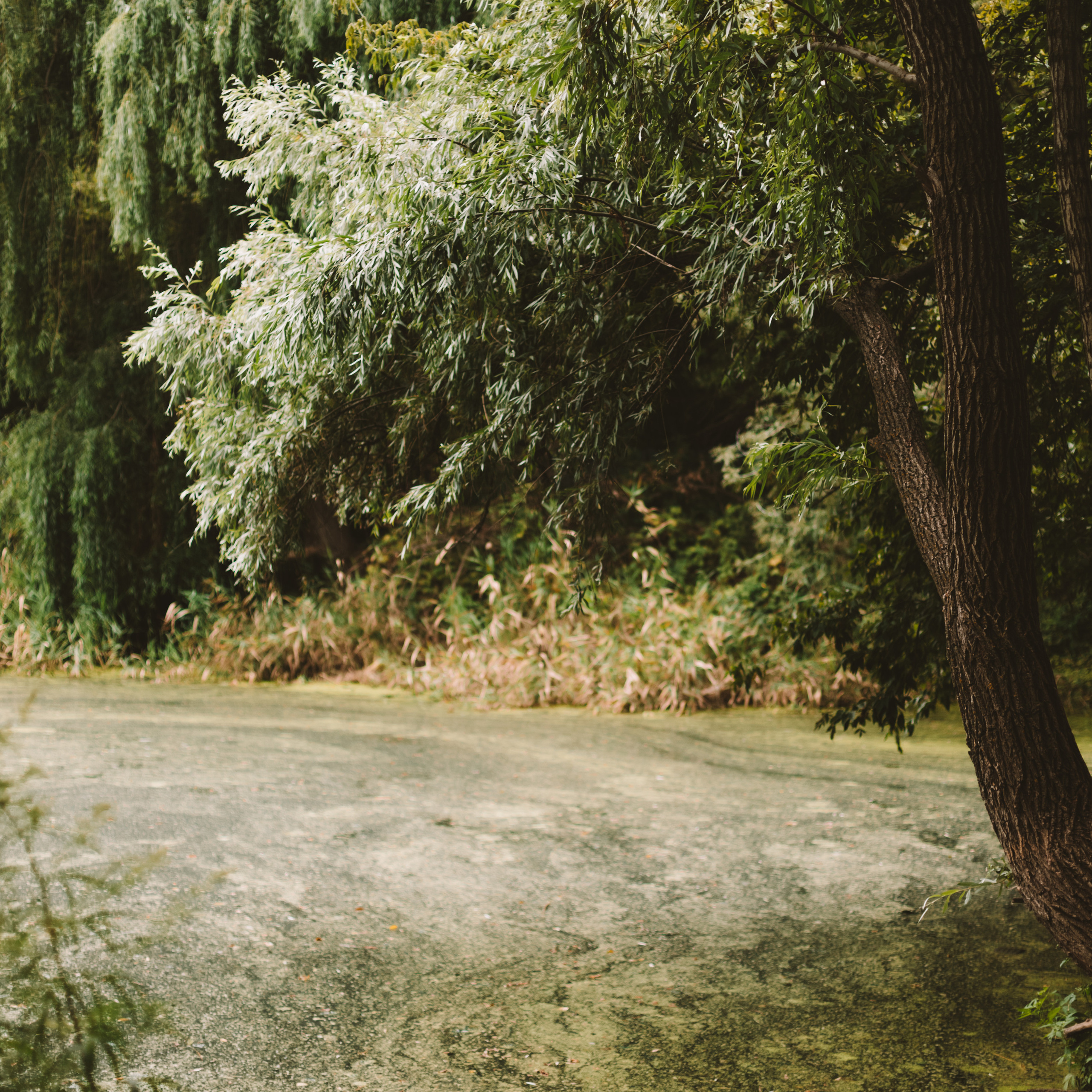 Елена. Фотограф в Волгограде и Москве Алина Галушкина