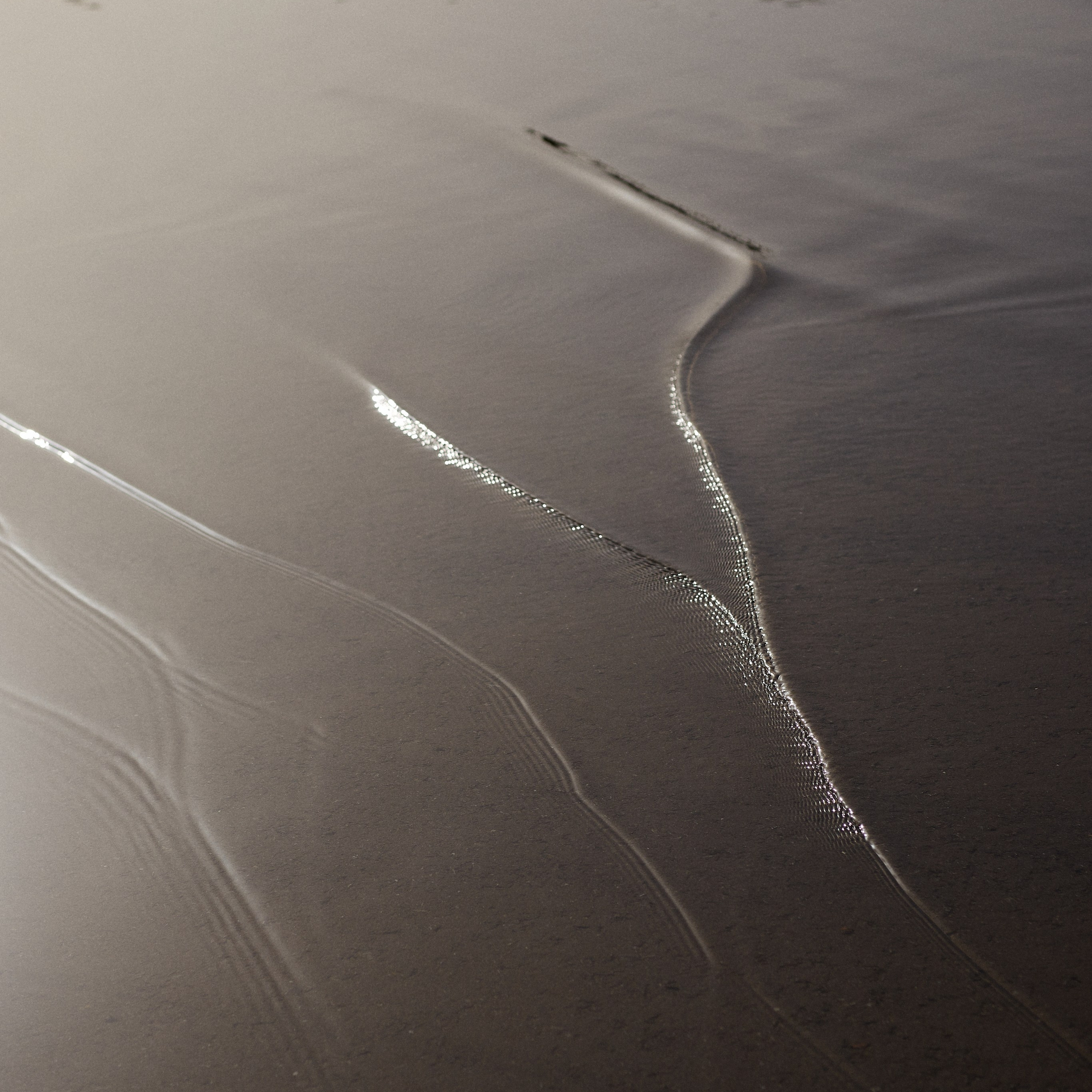 Дарья. Фотограф в Волгограде и Москве Алина Галушкина