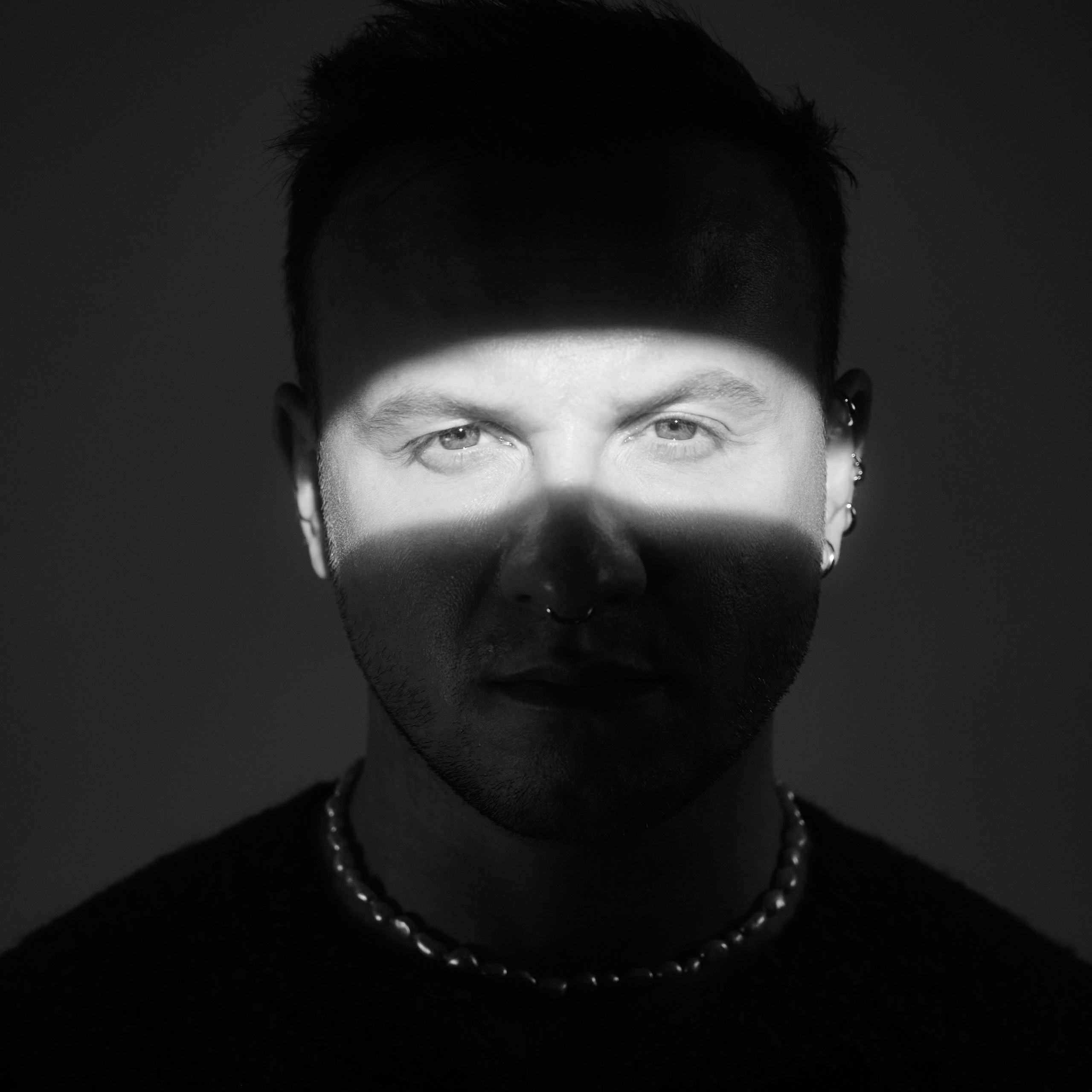 dima spotlight (2024)