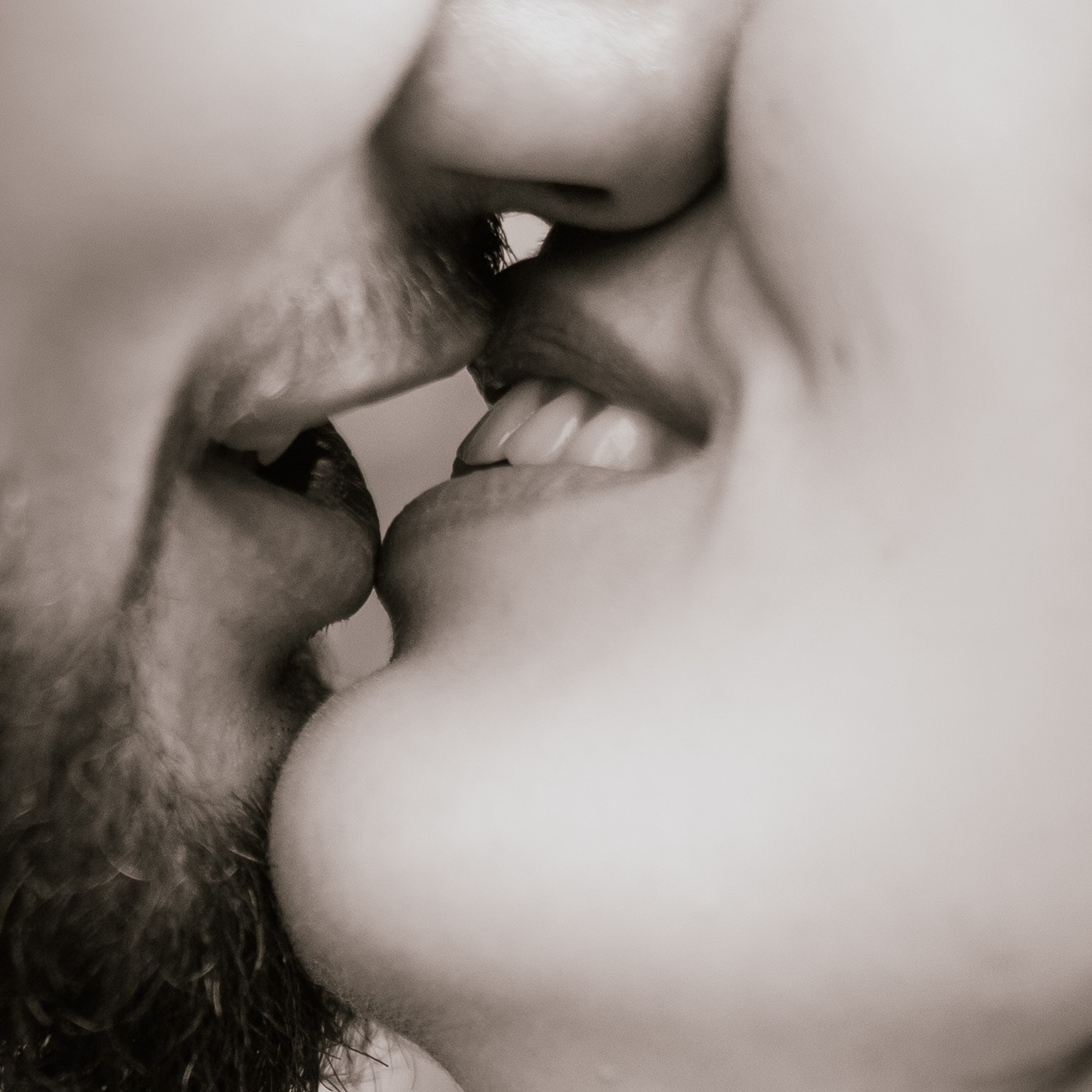 Слова моих пар. Свадебный фотограф Марьям Сайфулина г. Красноярск