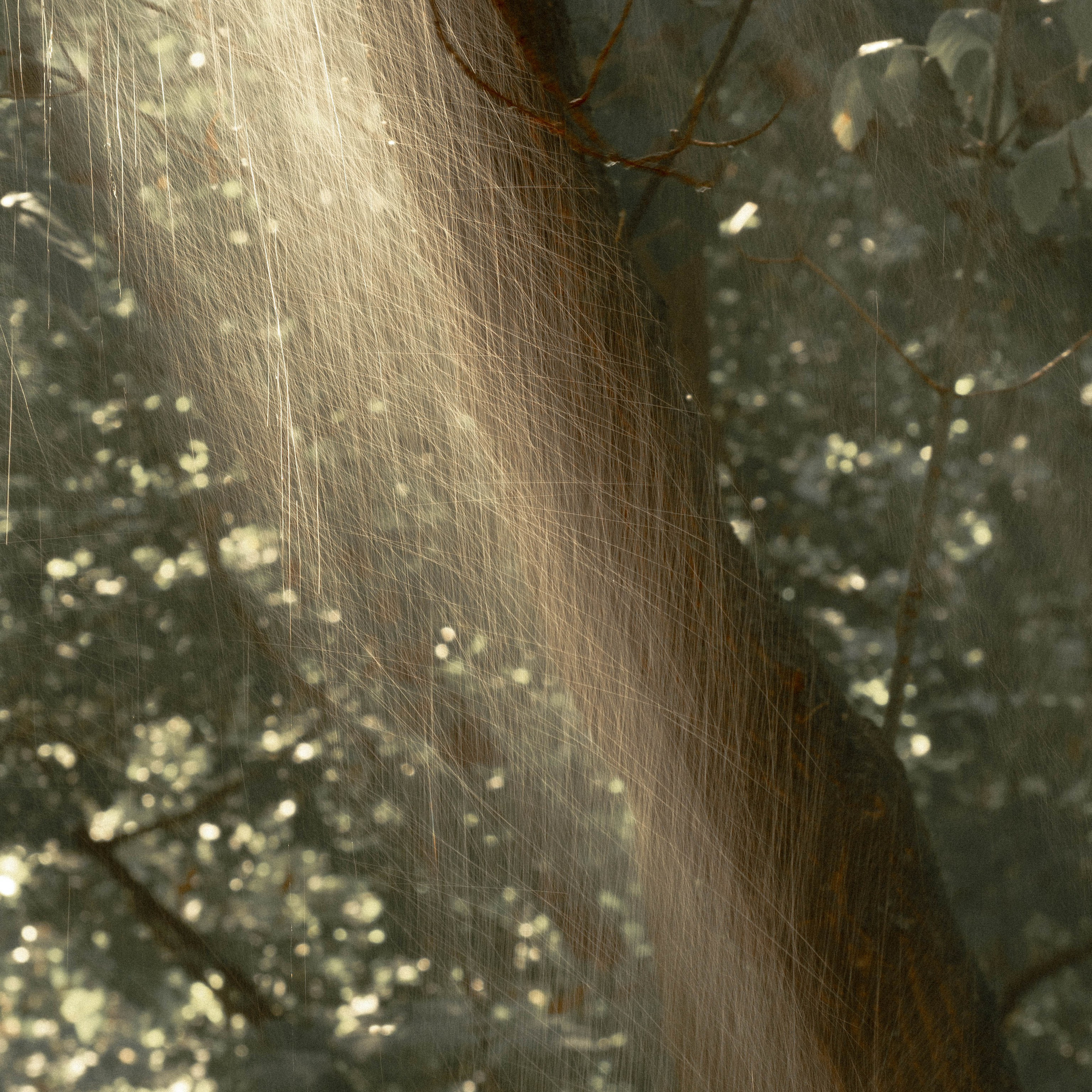 ФОТООХОТА