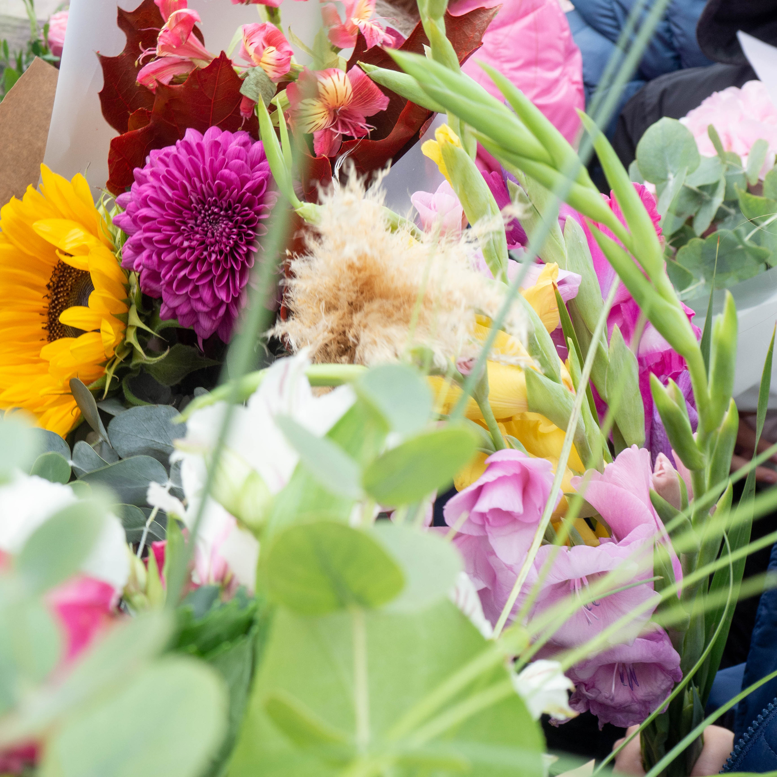 ШКОЛЫ & ДЕТСКИЕ САДЫ