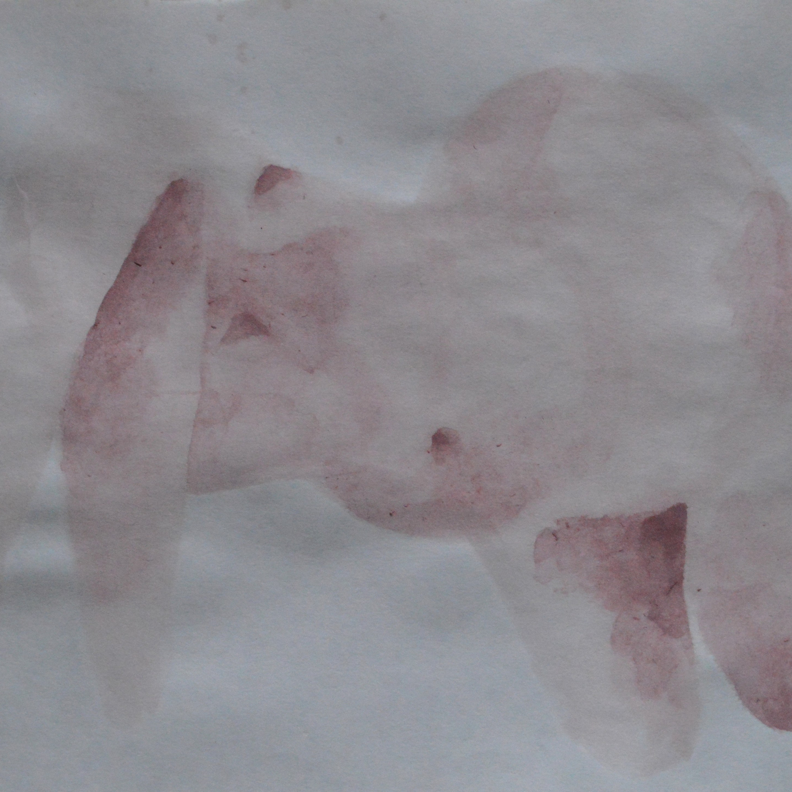 «Кожевая» серия.