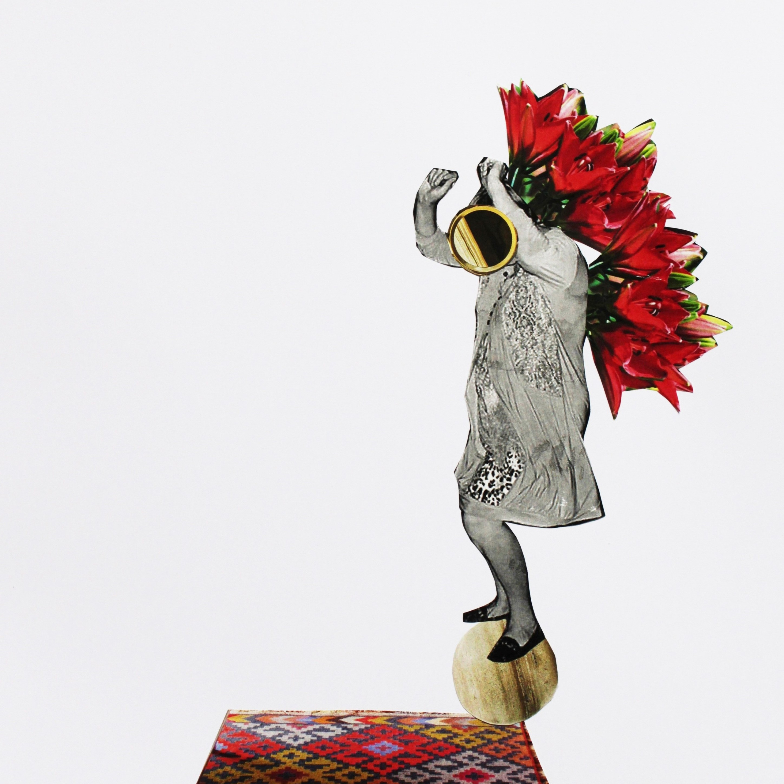 Коллаж. Серия «Перелетные птицы.»