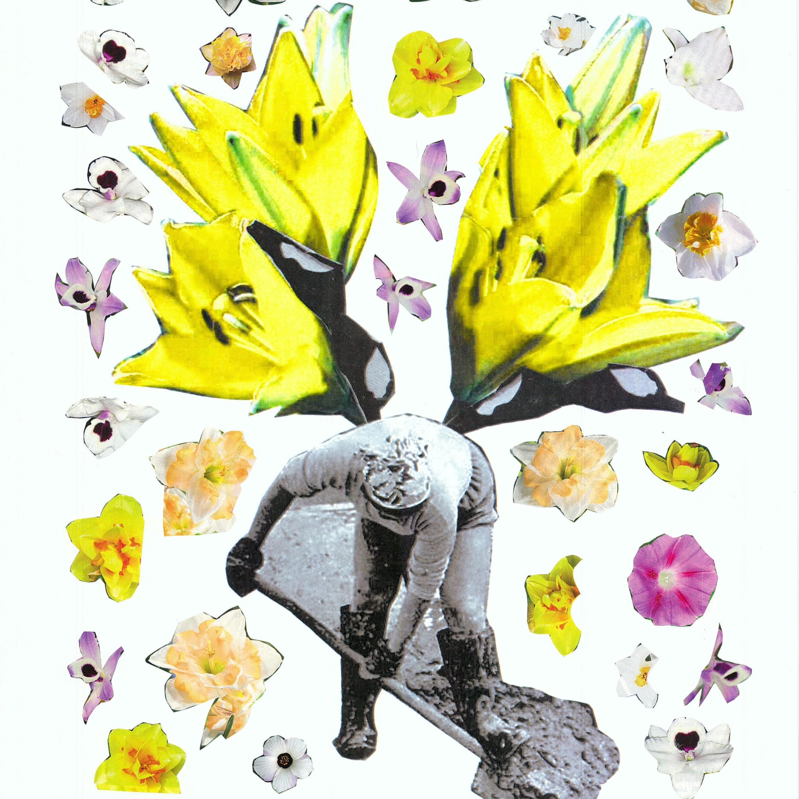 Коллаж. Серия " Перелетные птицы2»