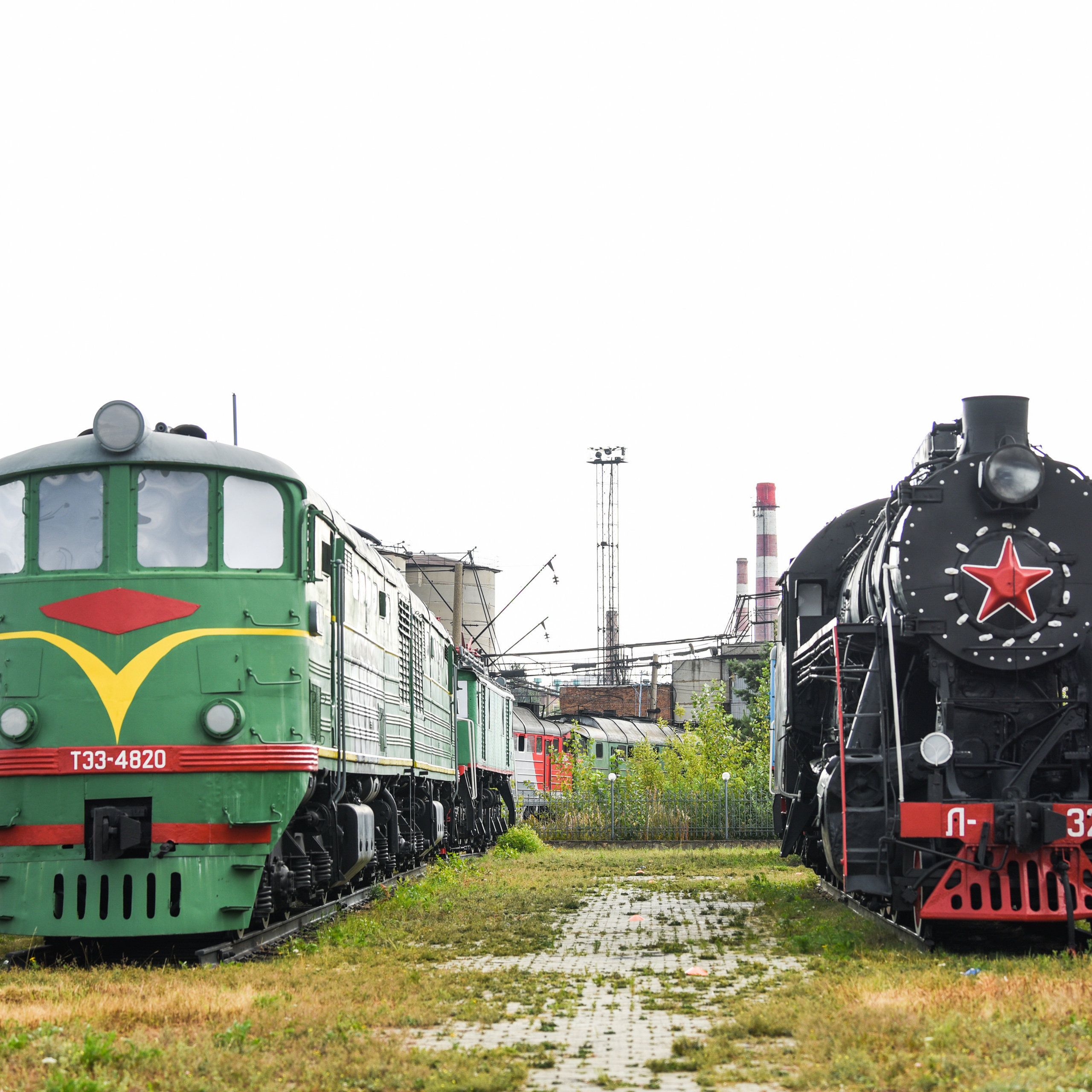 Отзывы. Фотограф-анималист в Екатеринбурге Марина Шишкина