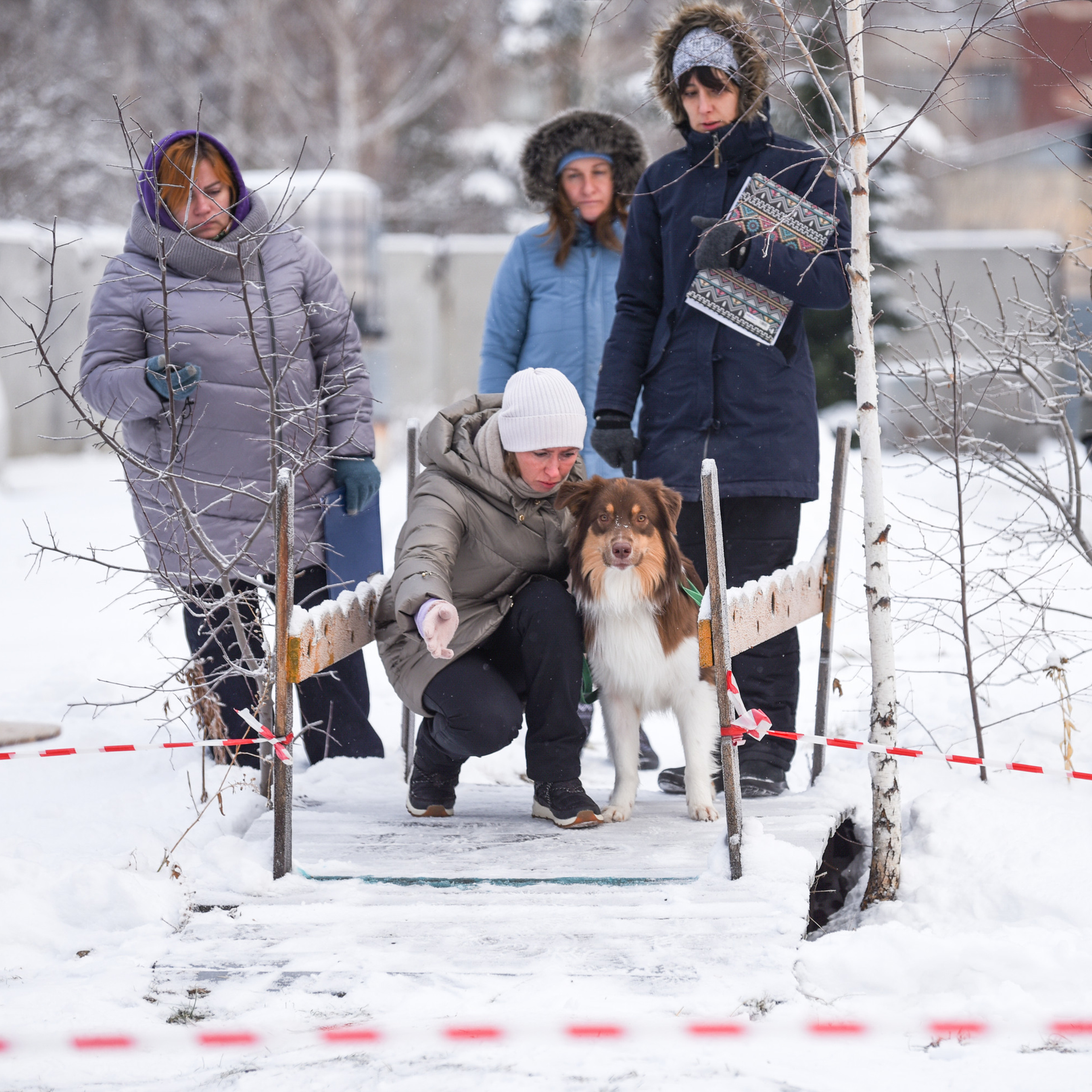 Отзывы. Фотограф-анималист в Екатеринбурге Марина Шишкина