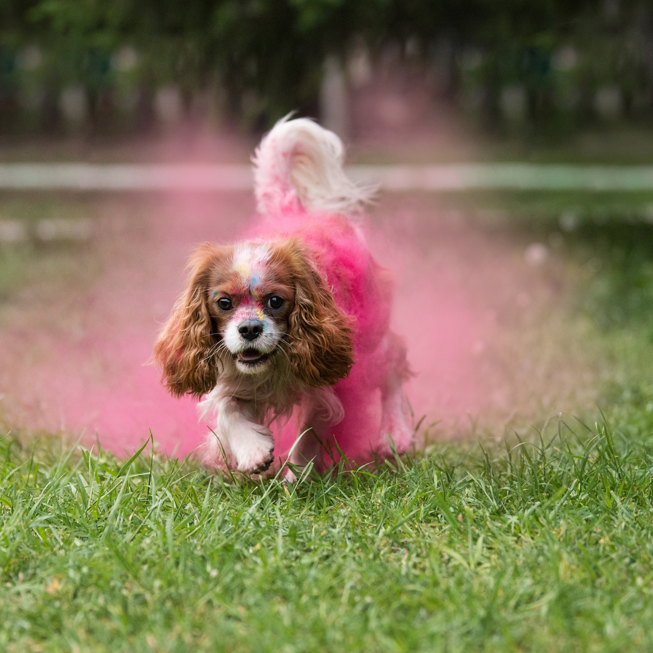 Отзывы. Фотограф-анималист в Екатеринбурге Марина Шишкина