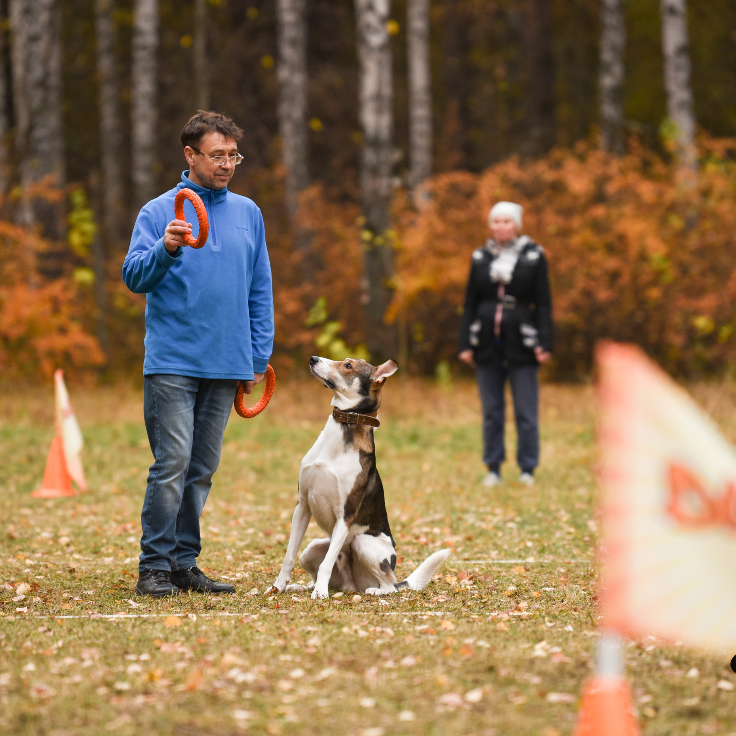 Отзывы. Фотограф-анималист в Екатеринбурге Марина Шишкина