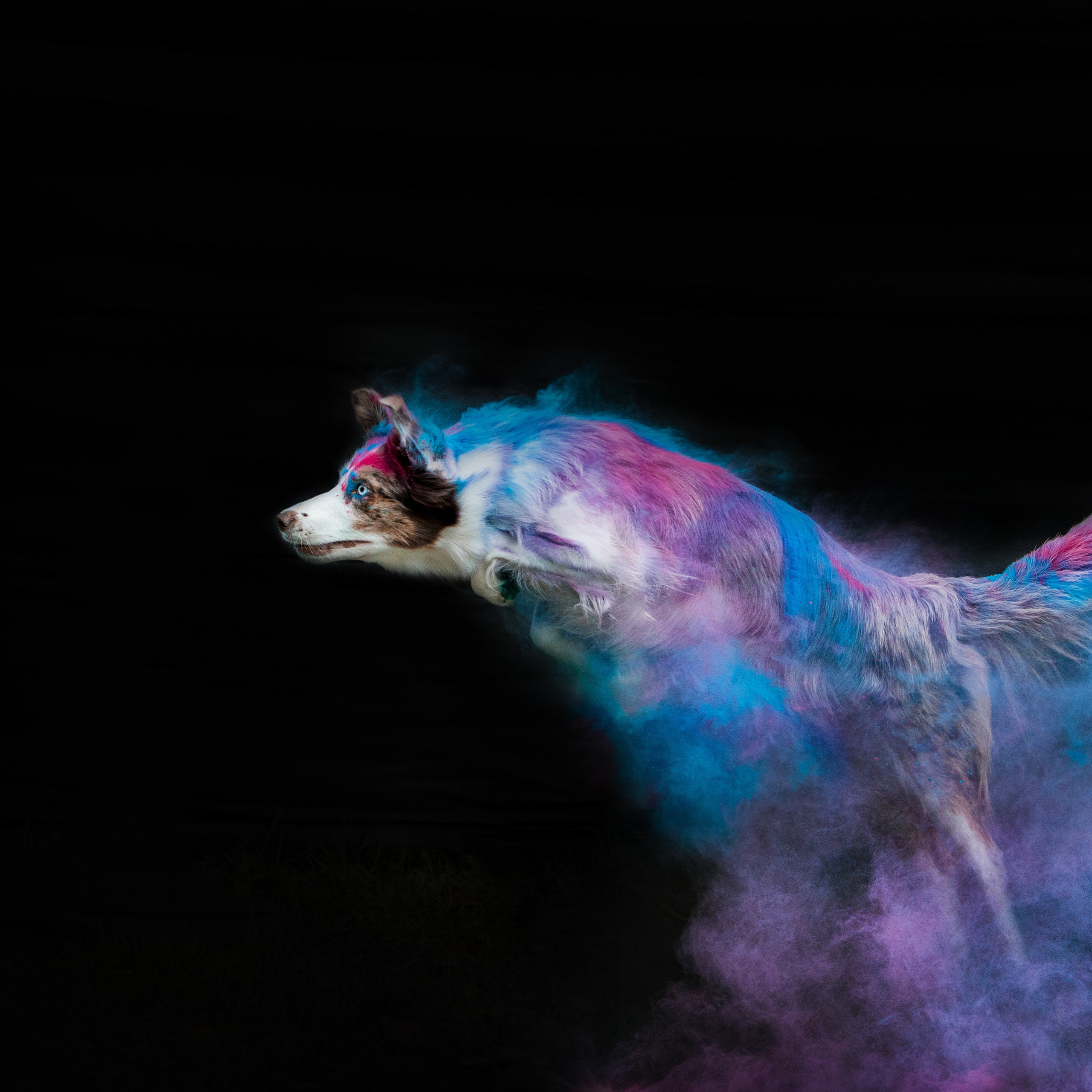 Отзывы. Фотограф-анималист в Екатеринбурге Марина Шишкина