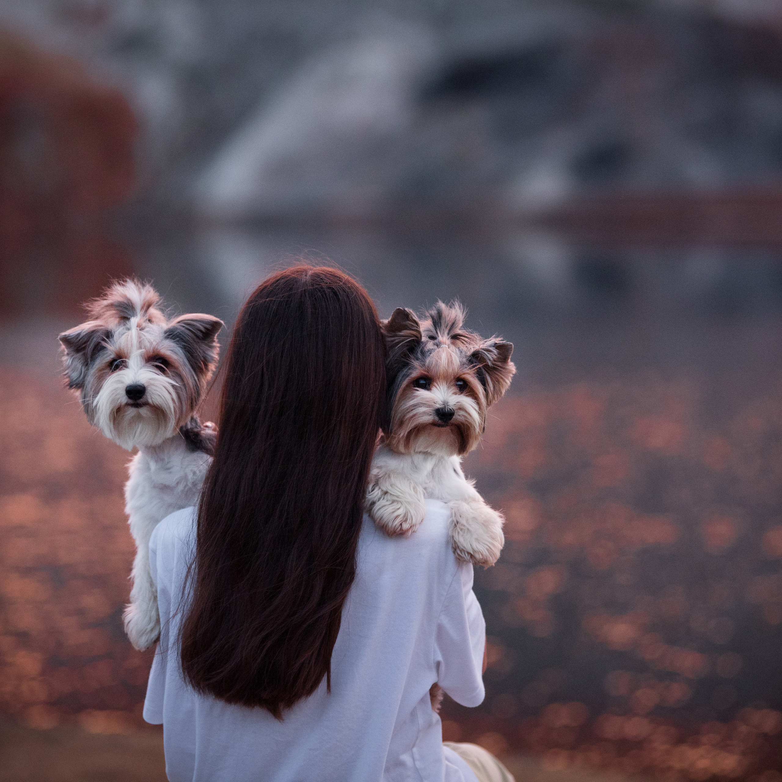 Отзывы. Фотограф-анималист в Екатеринбурге Марина Шишкина
