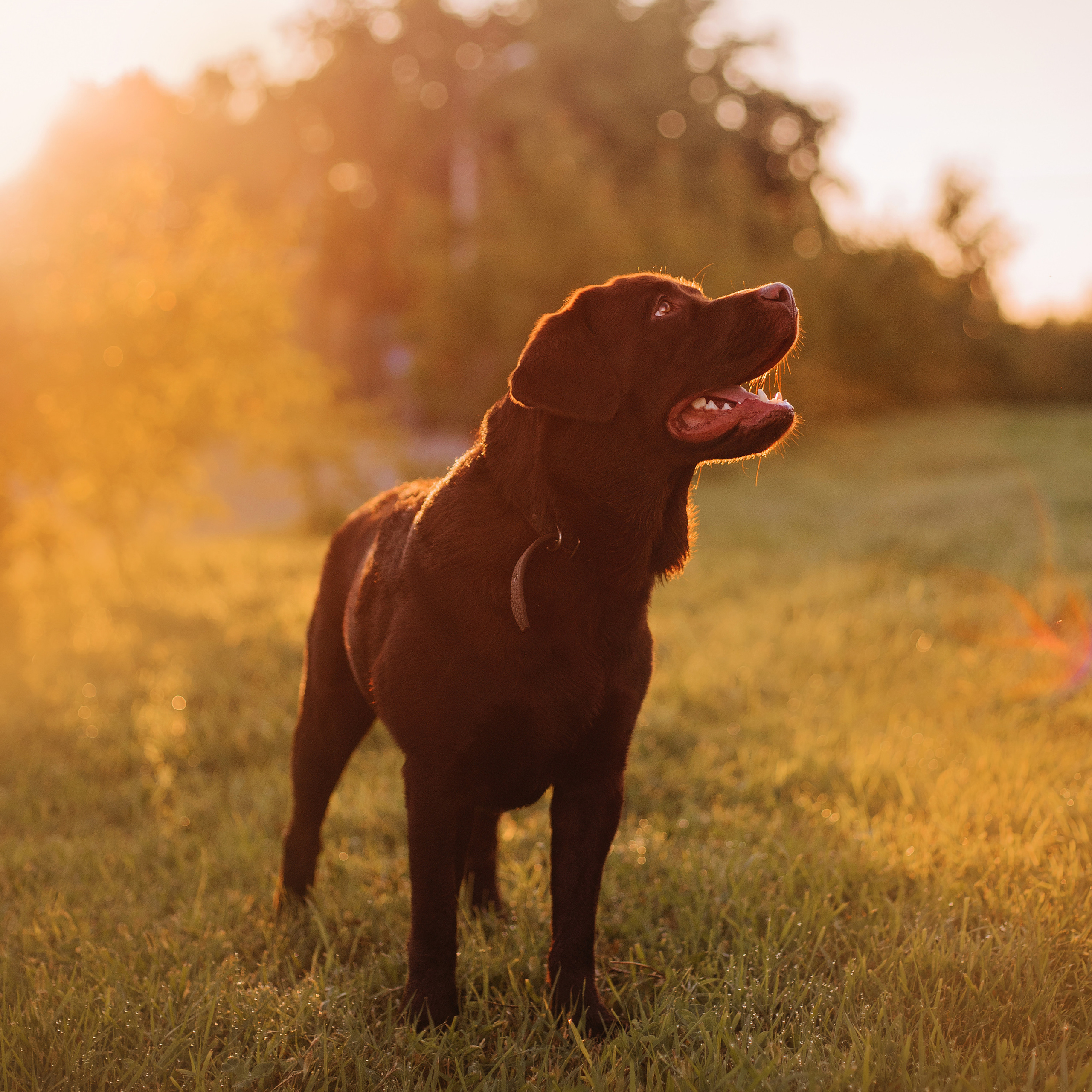 Отзывы. Портфолио