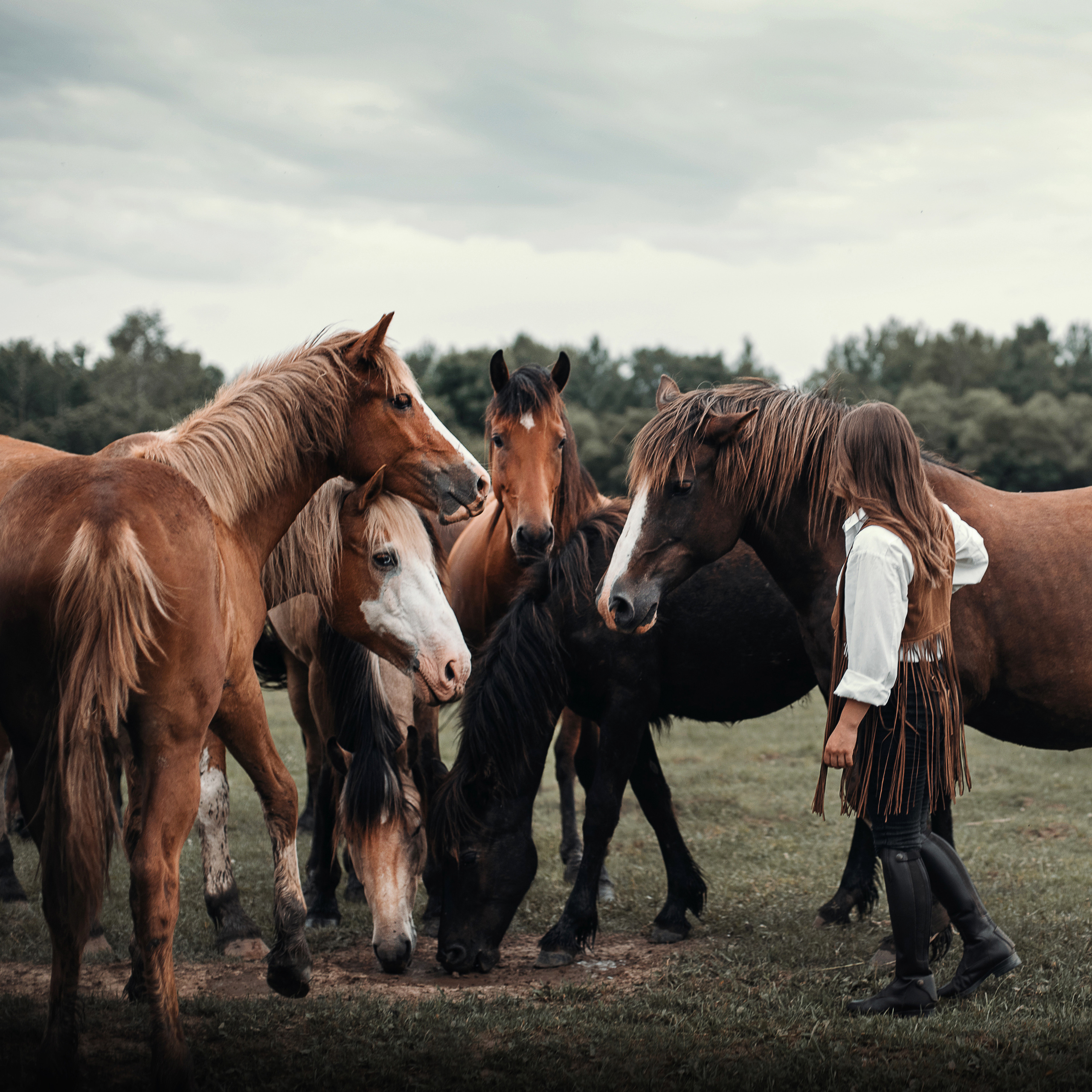 конное: Катя и табун