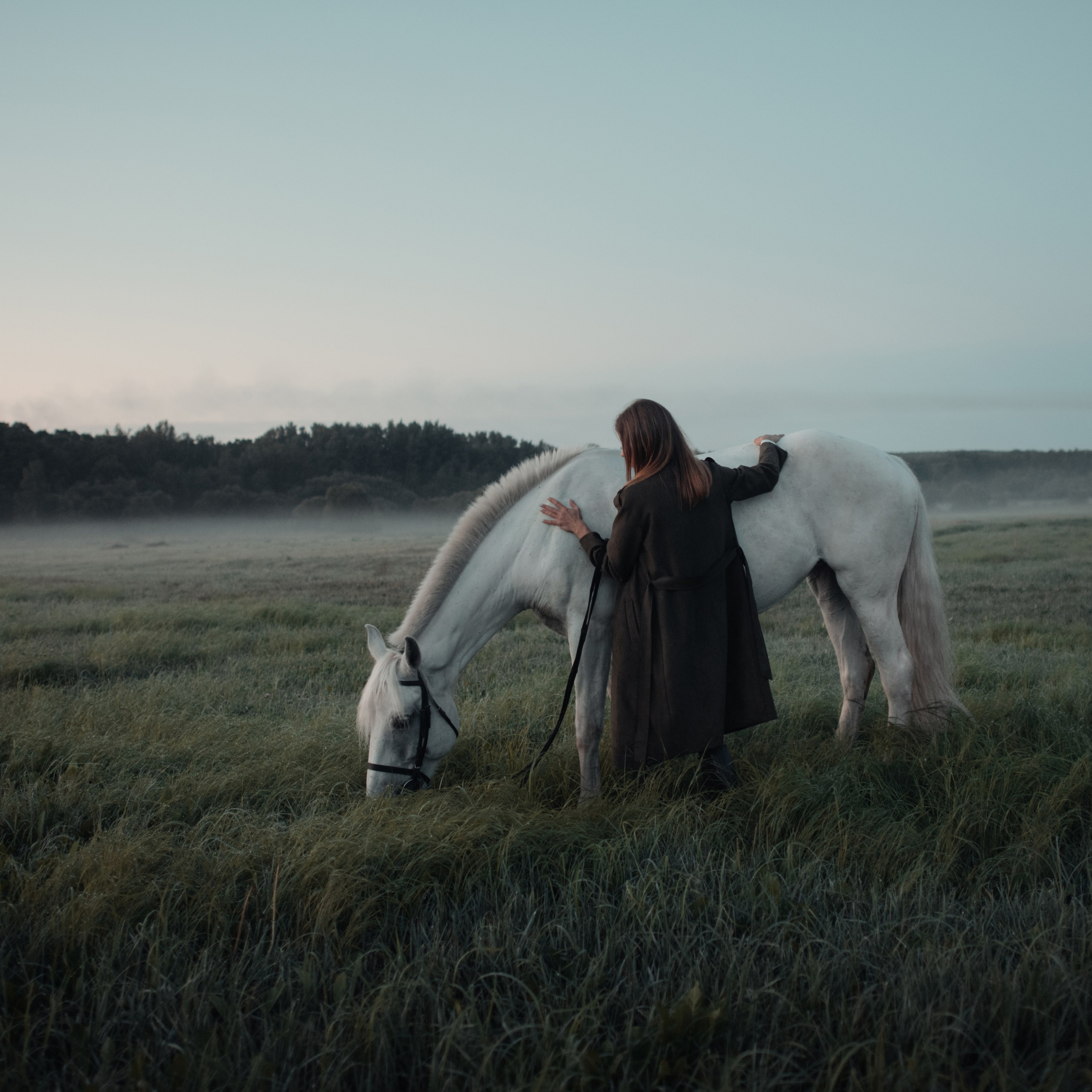 конное: рассвет на поле с Лерой и Златой
