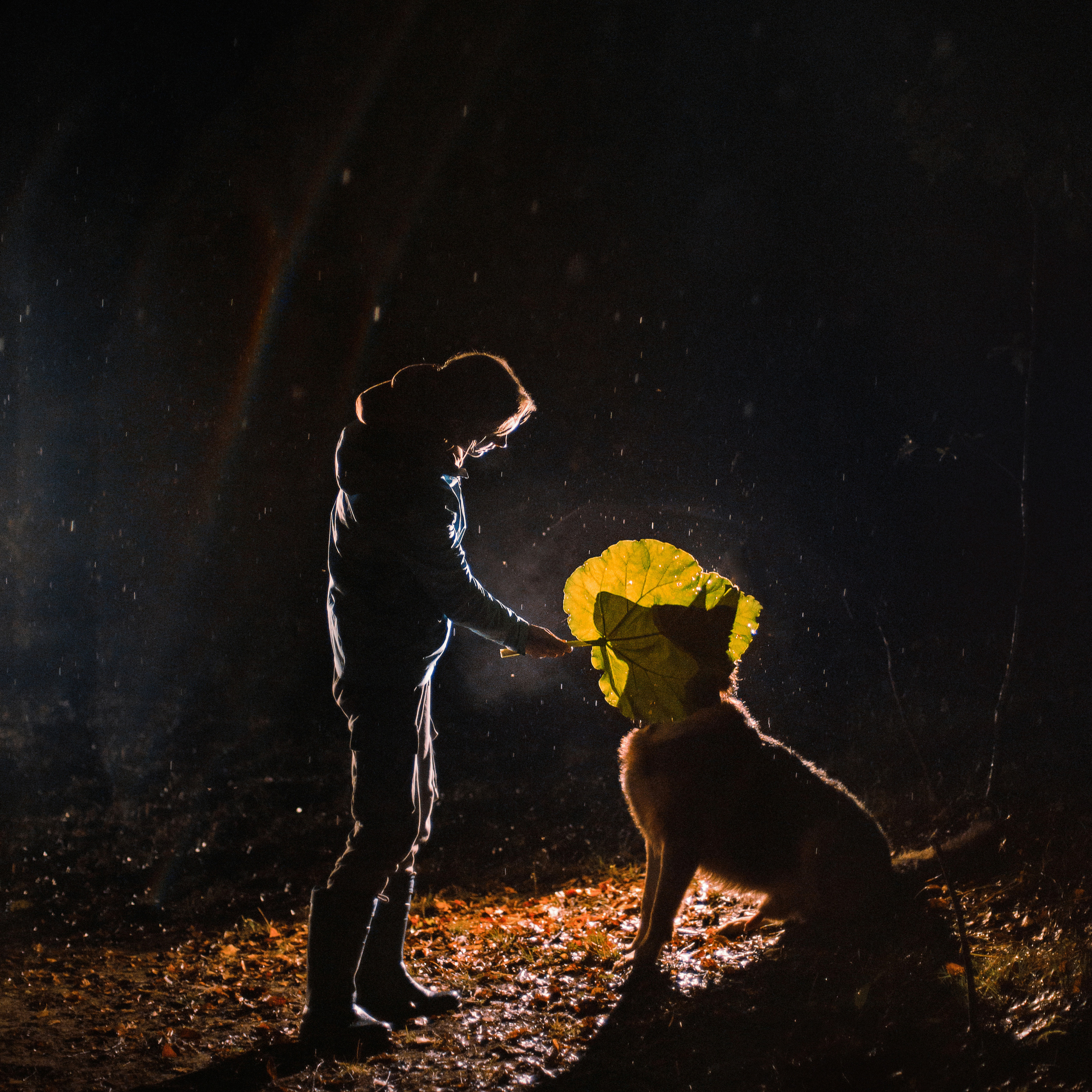 темное: овчарка Ермак и Ира в лесу под дождем