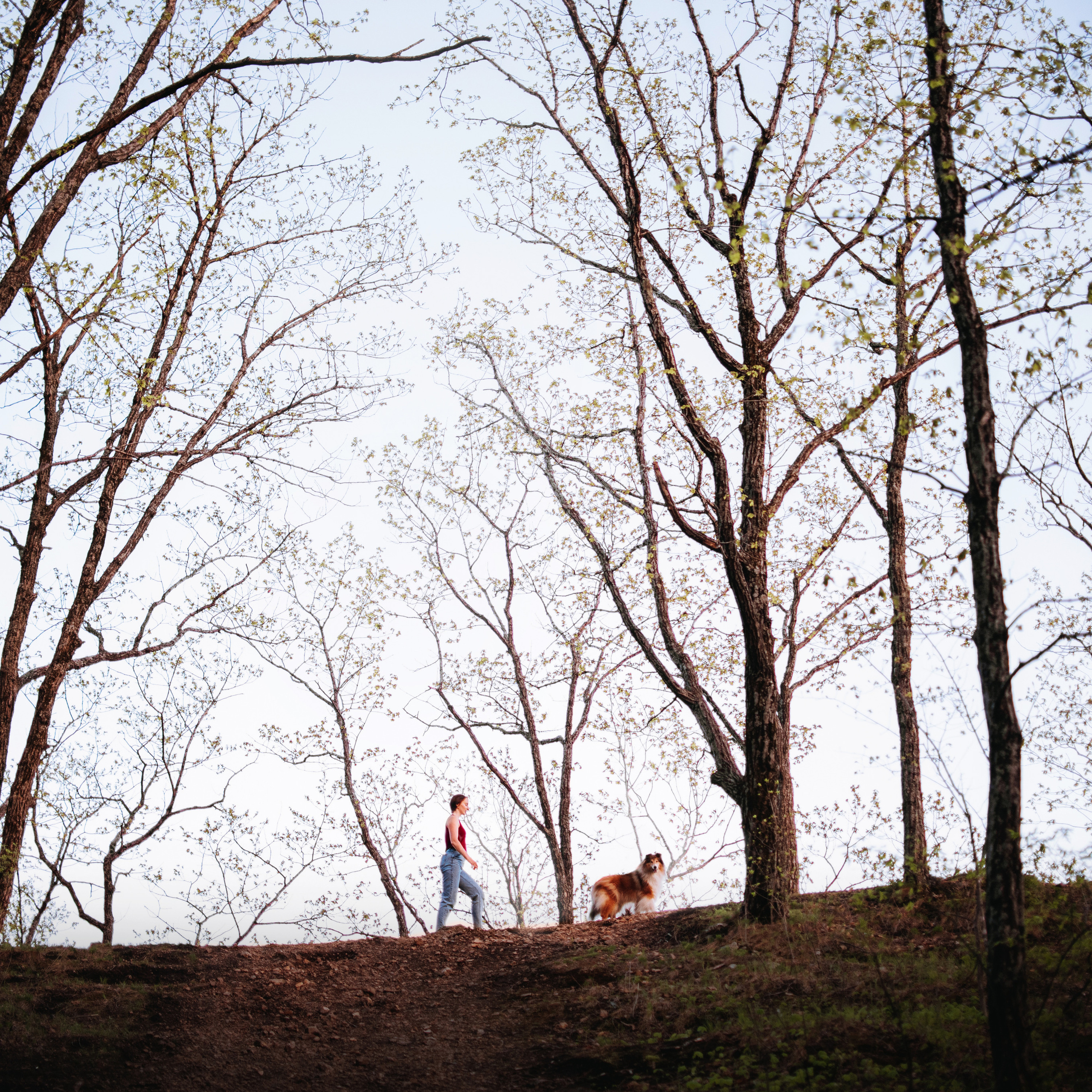 колли Айра и Настя