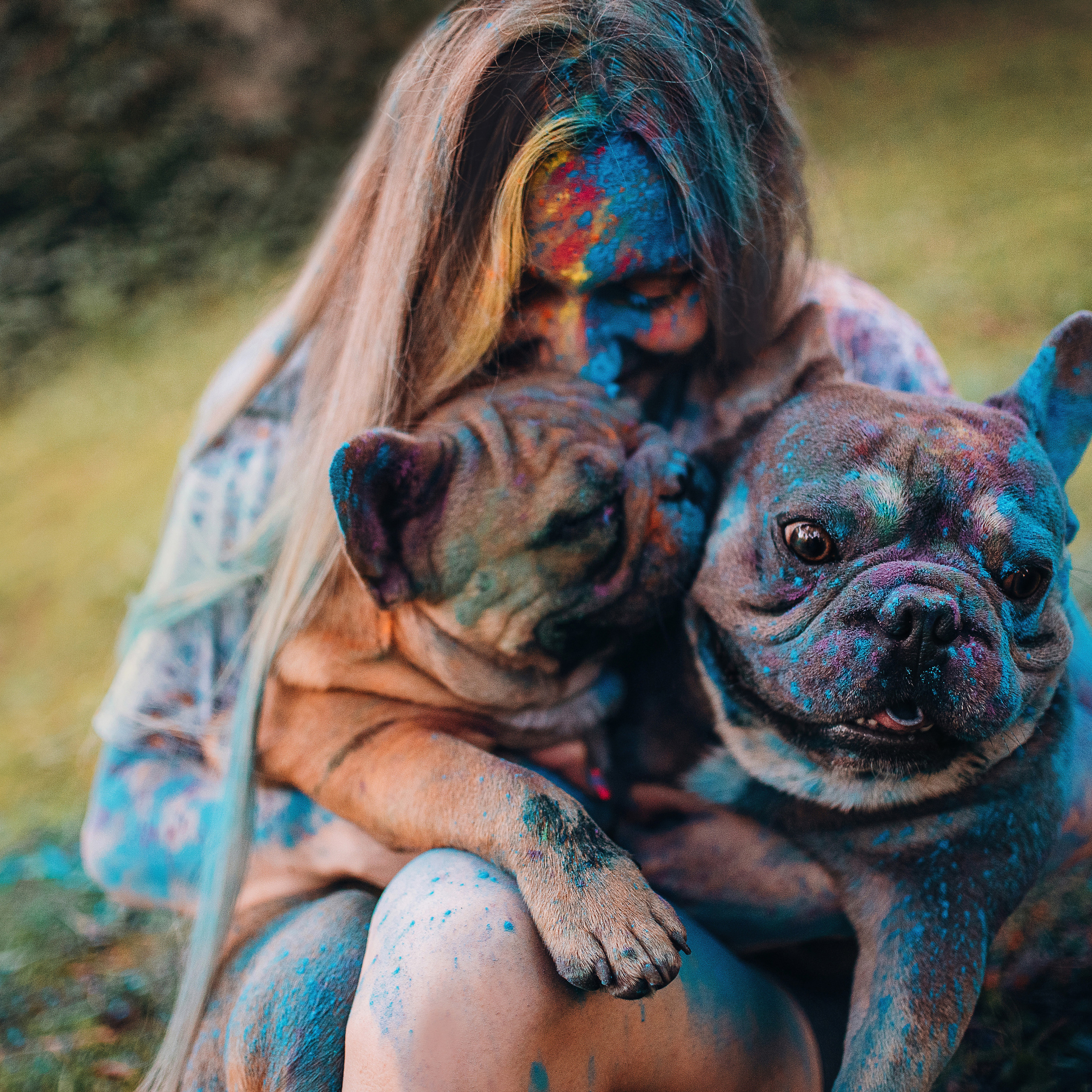 рассвет в городе: французские бульдоги Лео и Фрэнк и Алена